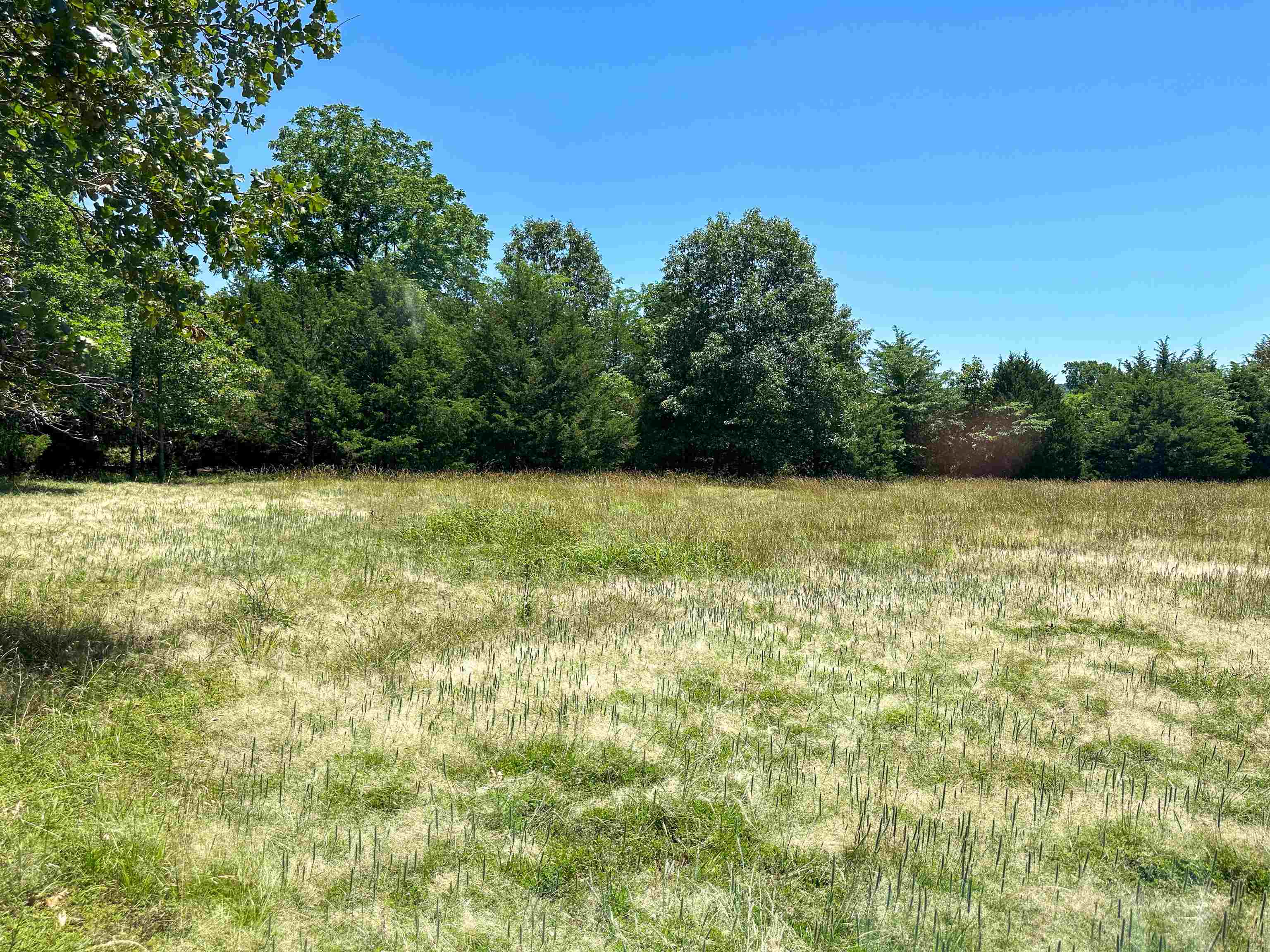 4115  Johnson View  Wiseman, AR