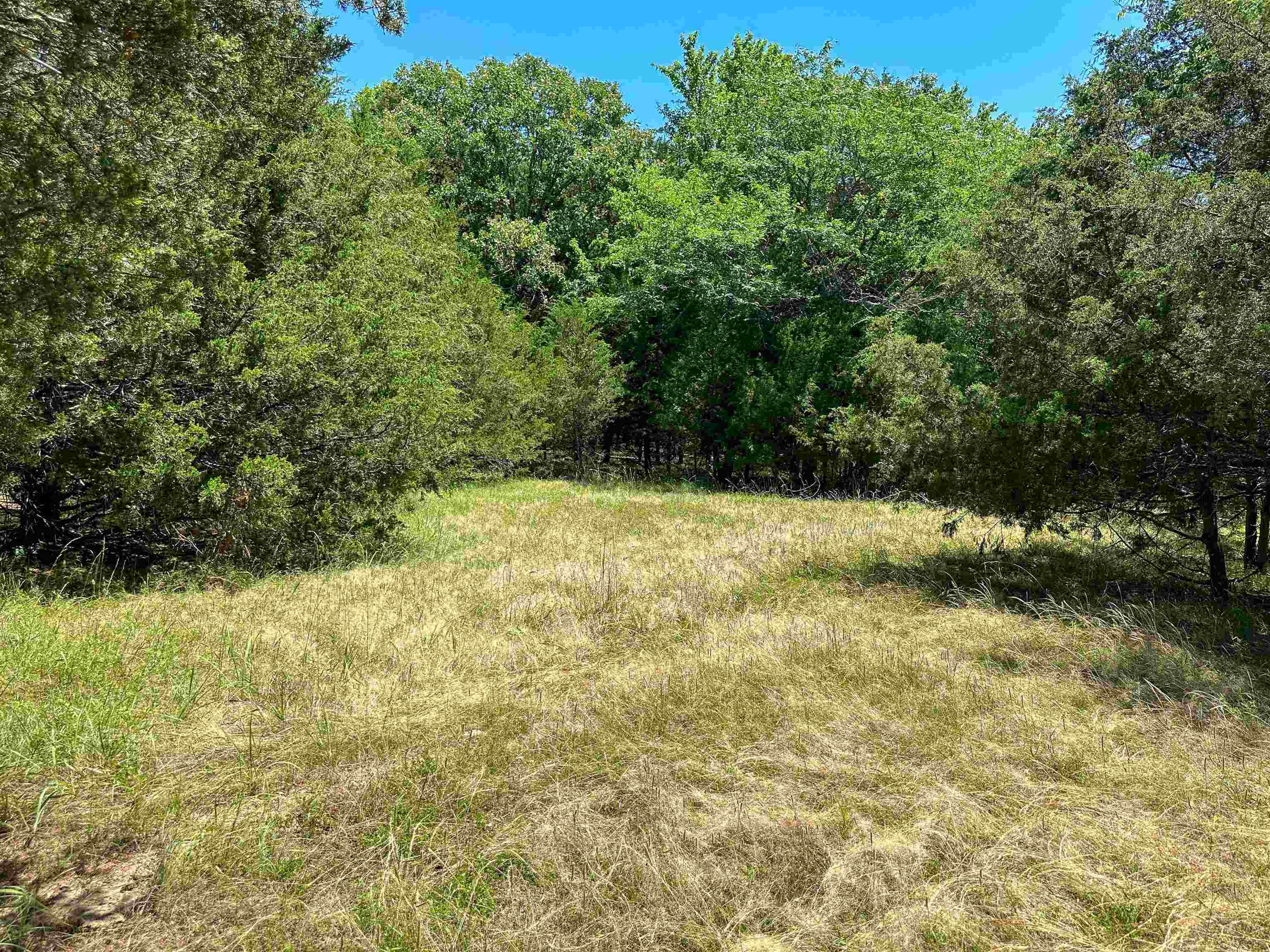 4115  Johnson View  Wiseman, AR