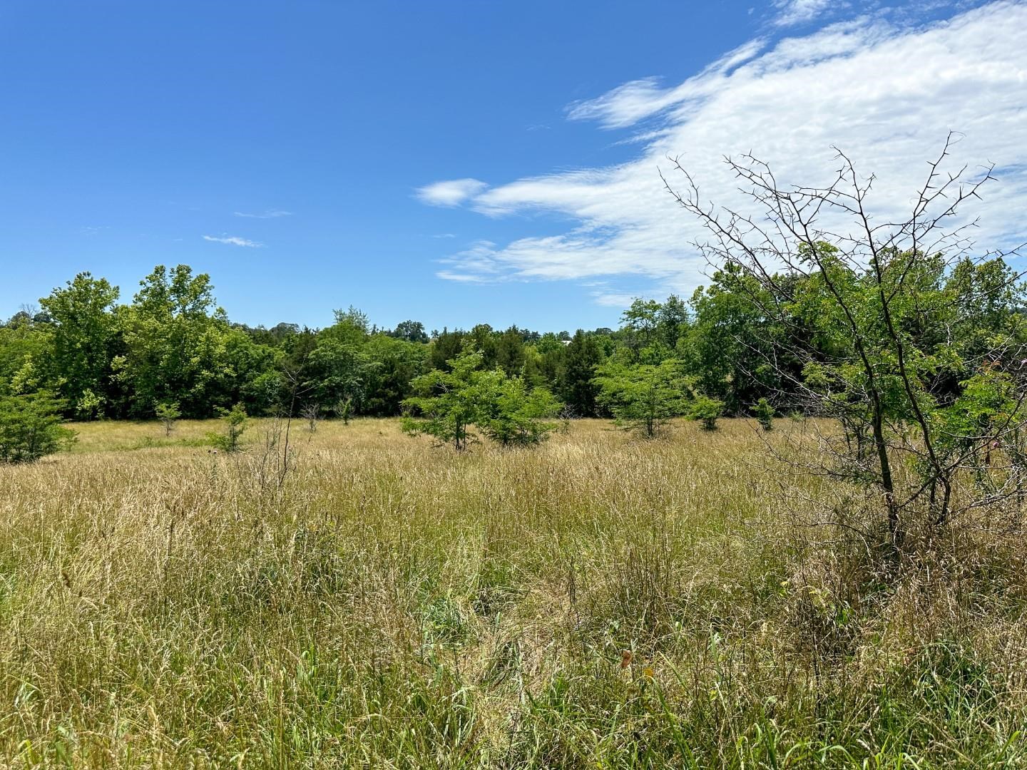 4115  Johnson View  Wiseman, AR