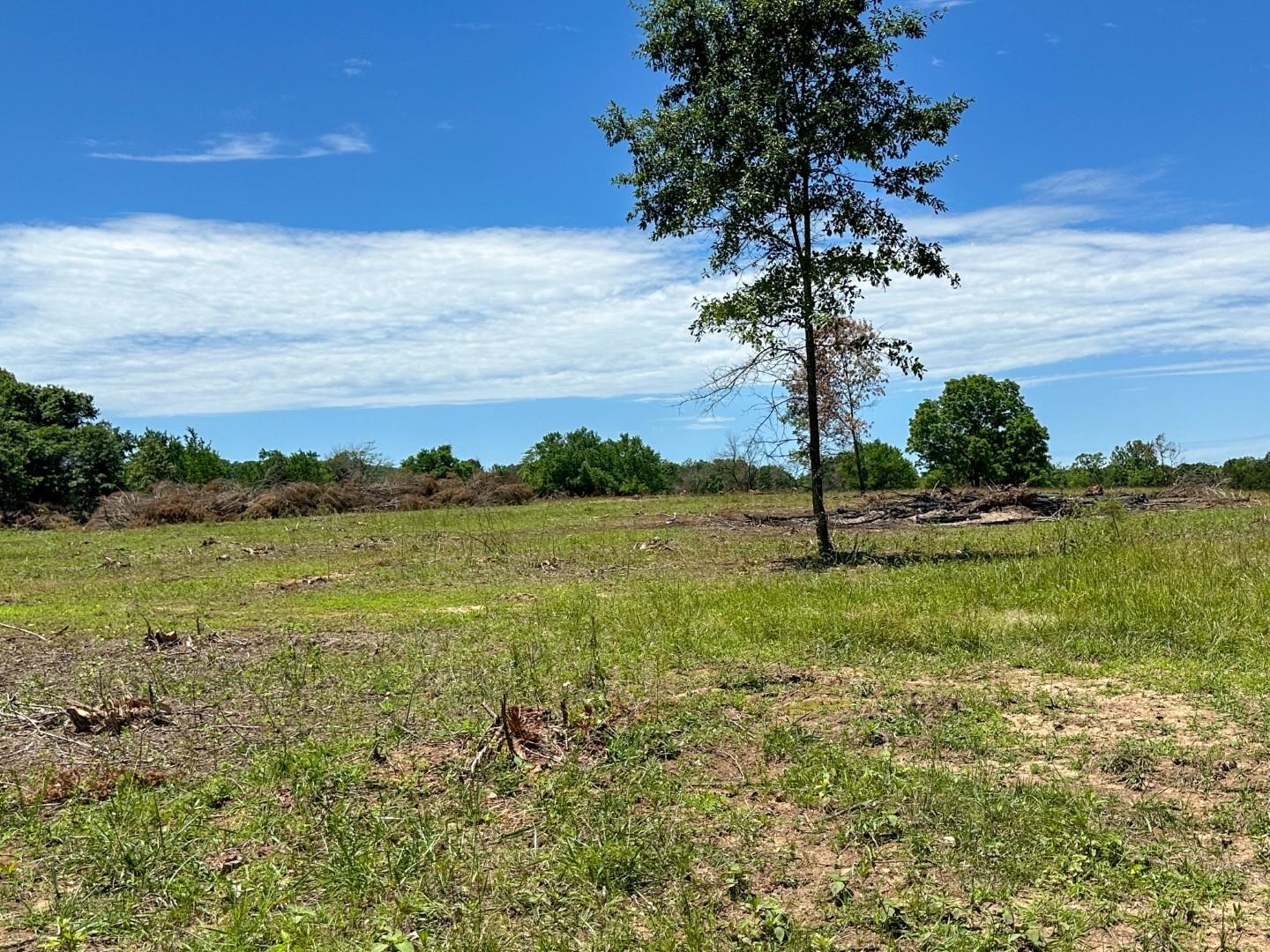 4115  Johnson View  Wiseman, AR