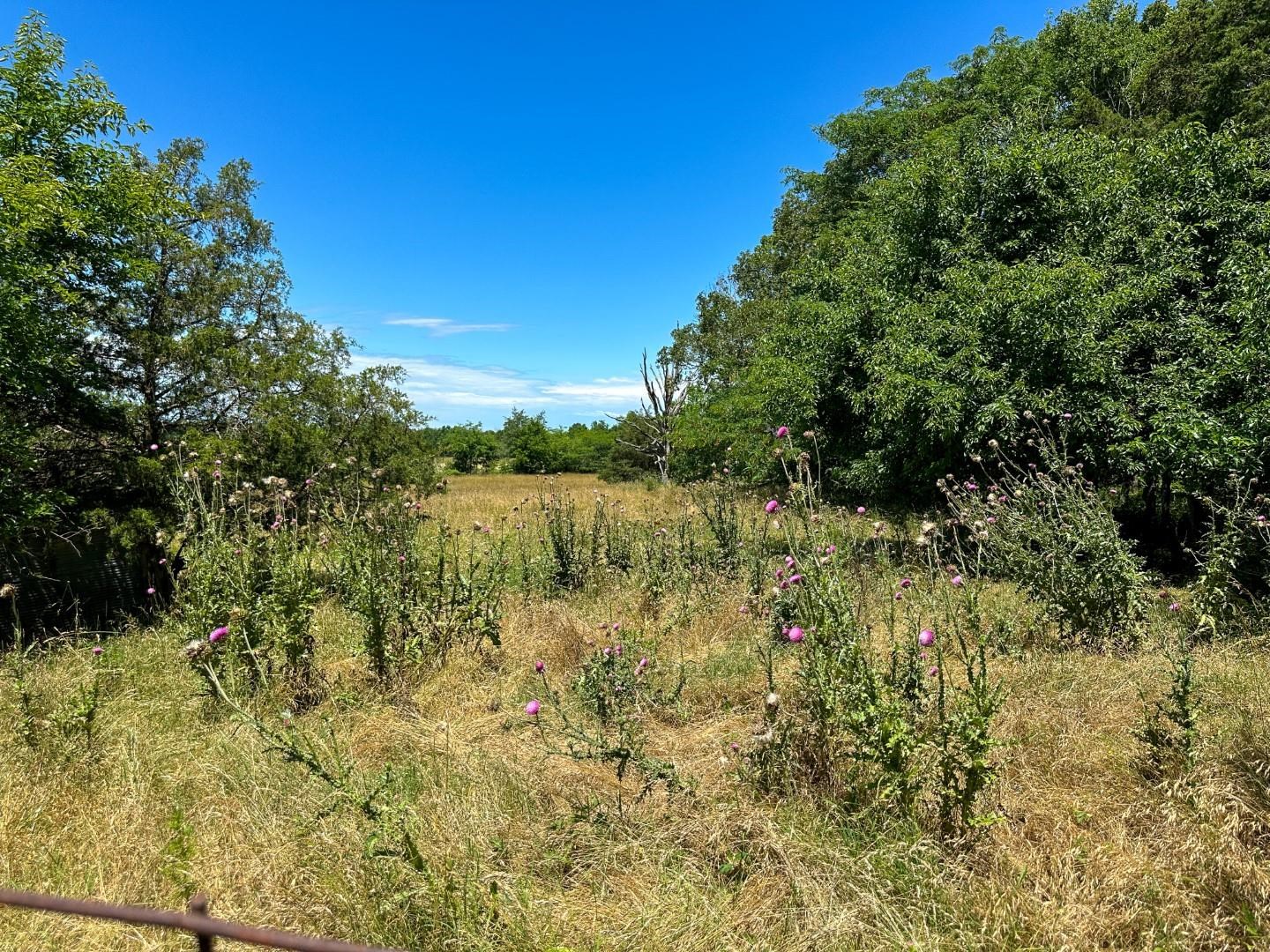 4115  Johnson View  Wiseman, AR