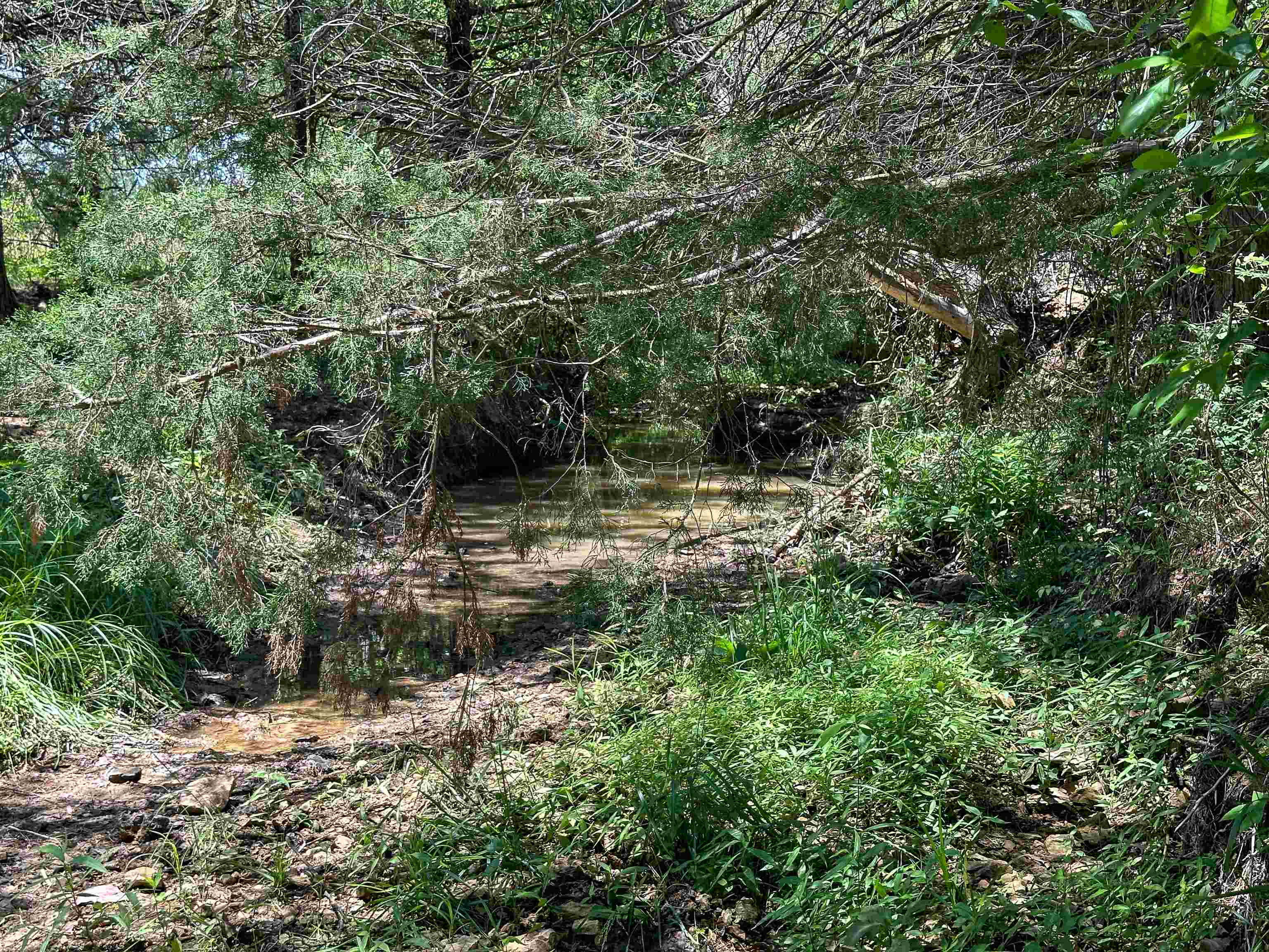4115  Johnson View  Wiseman, AR