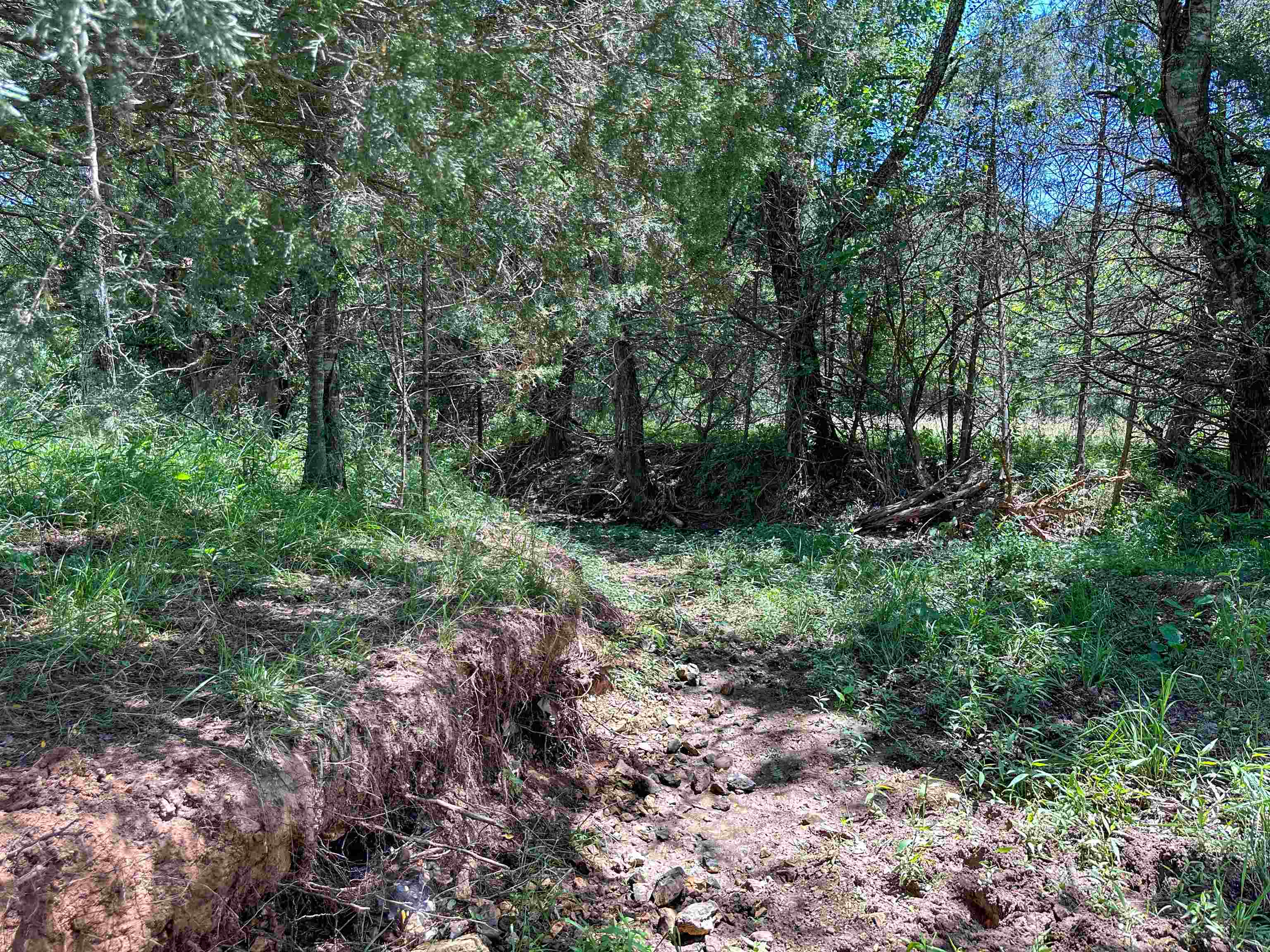 4115  Johnson View  Wiseman, AR