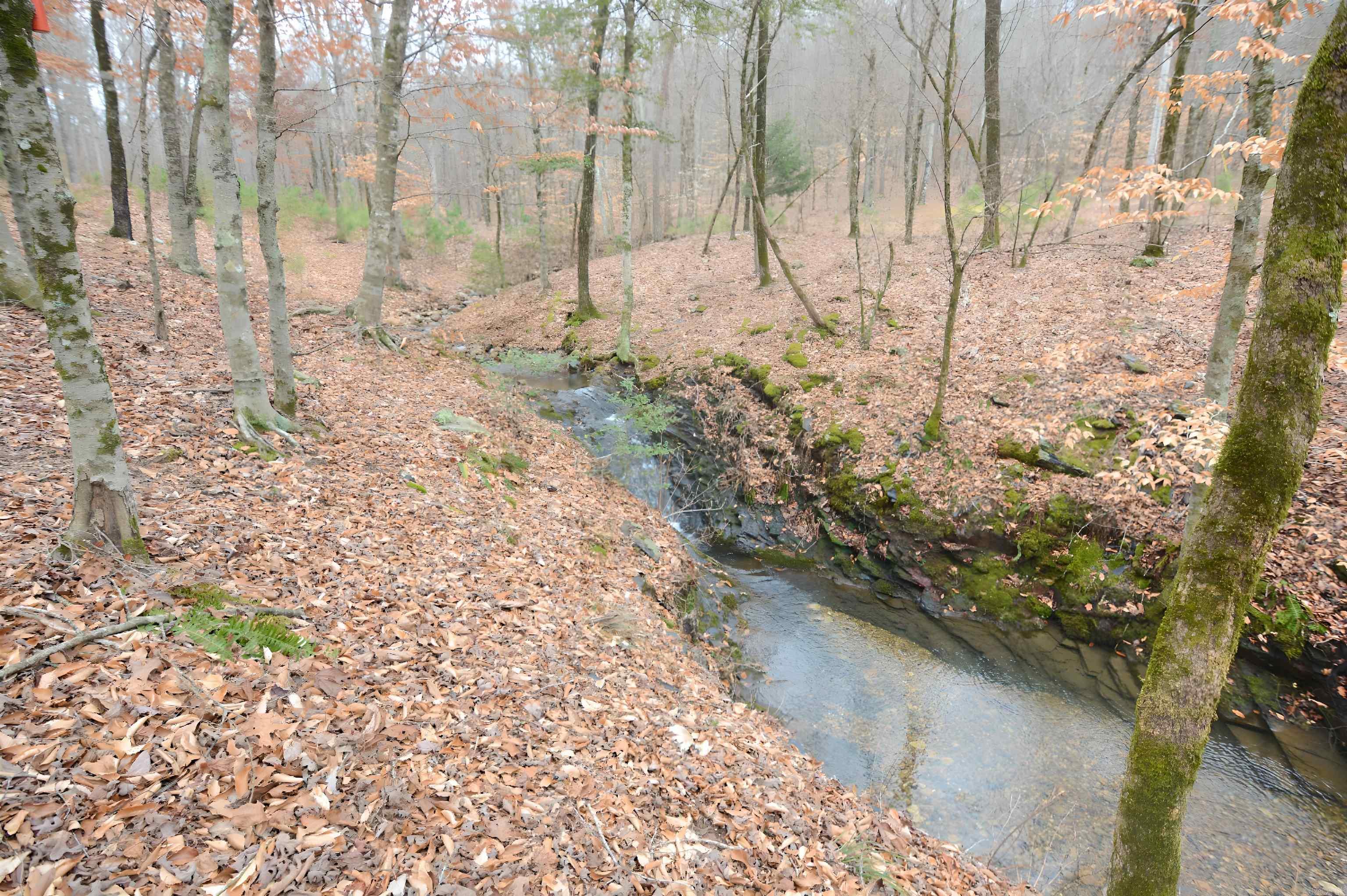 TBD  Polk Road 602  Mena, AR