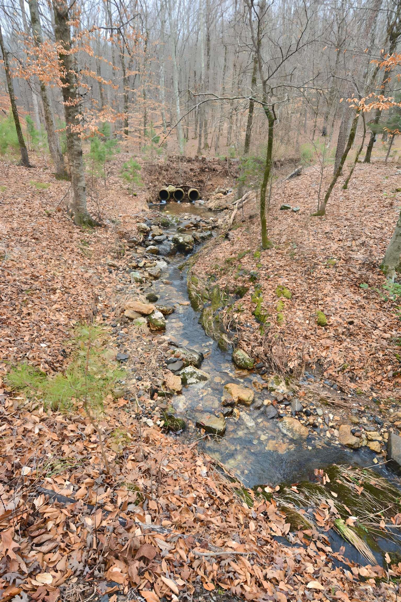 TBD  Polk Road 602  Mena, AR
