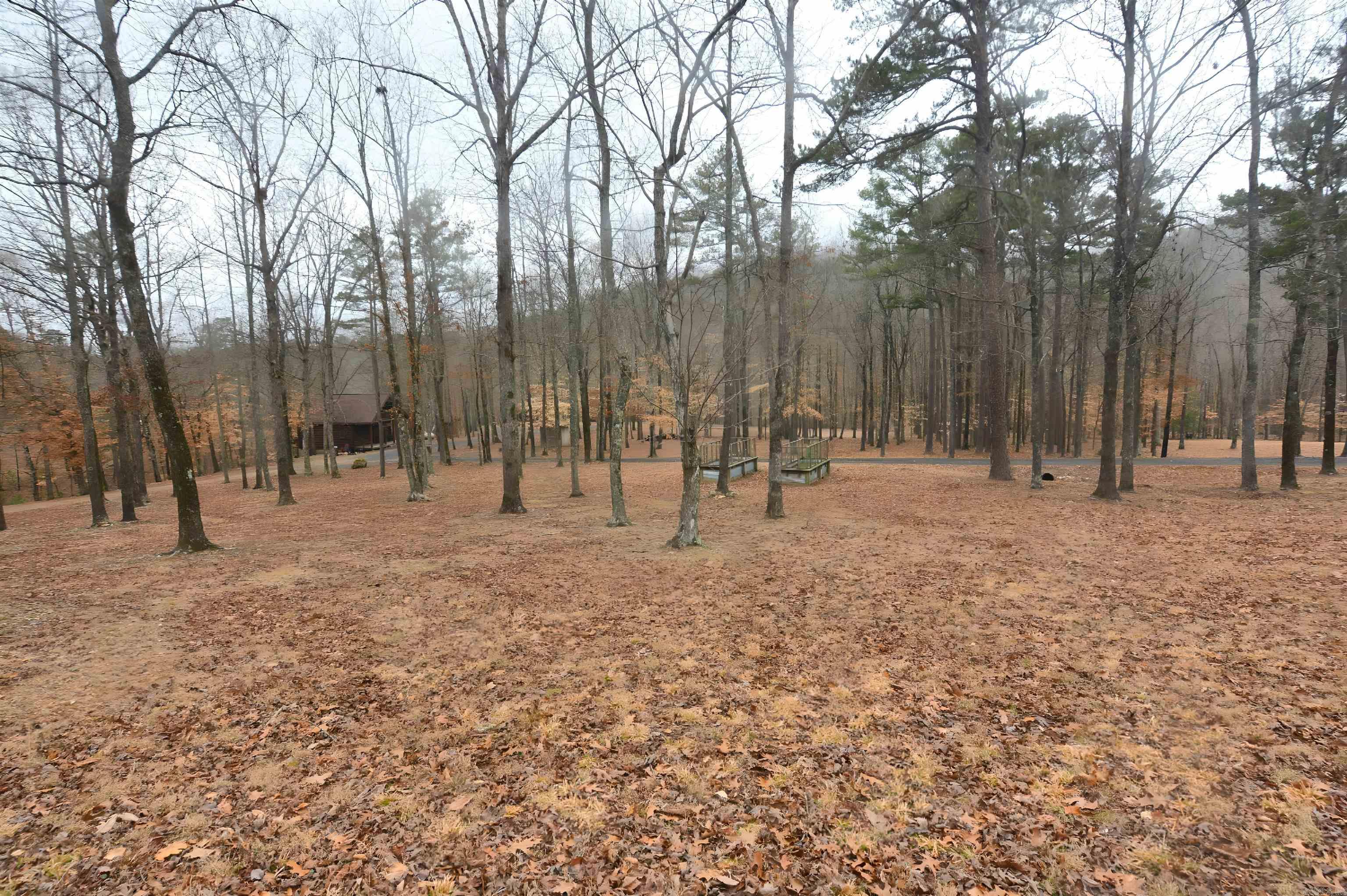 TBD  Polk Road 602  Mena, AR
