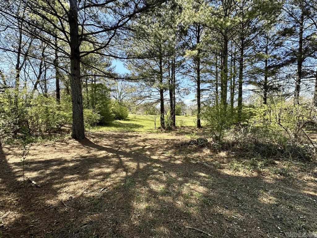 2637 E Highway 270  Mount Ida, AR