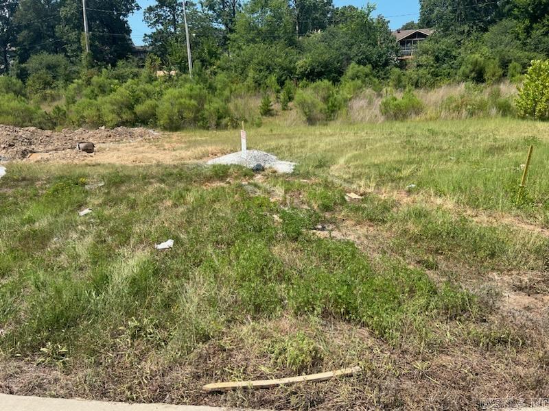   Lot 19 Kanis Ridge  Little Rock, AR