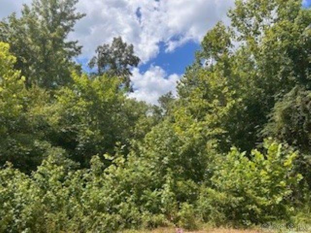 1080  Slate Creek  Lonsdale, AR