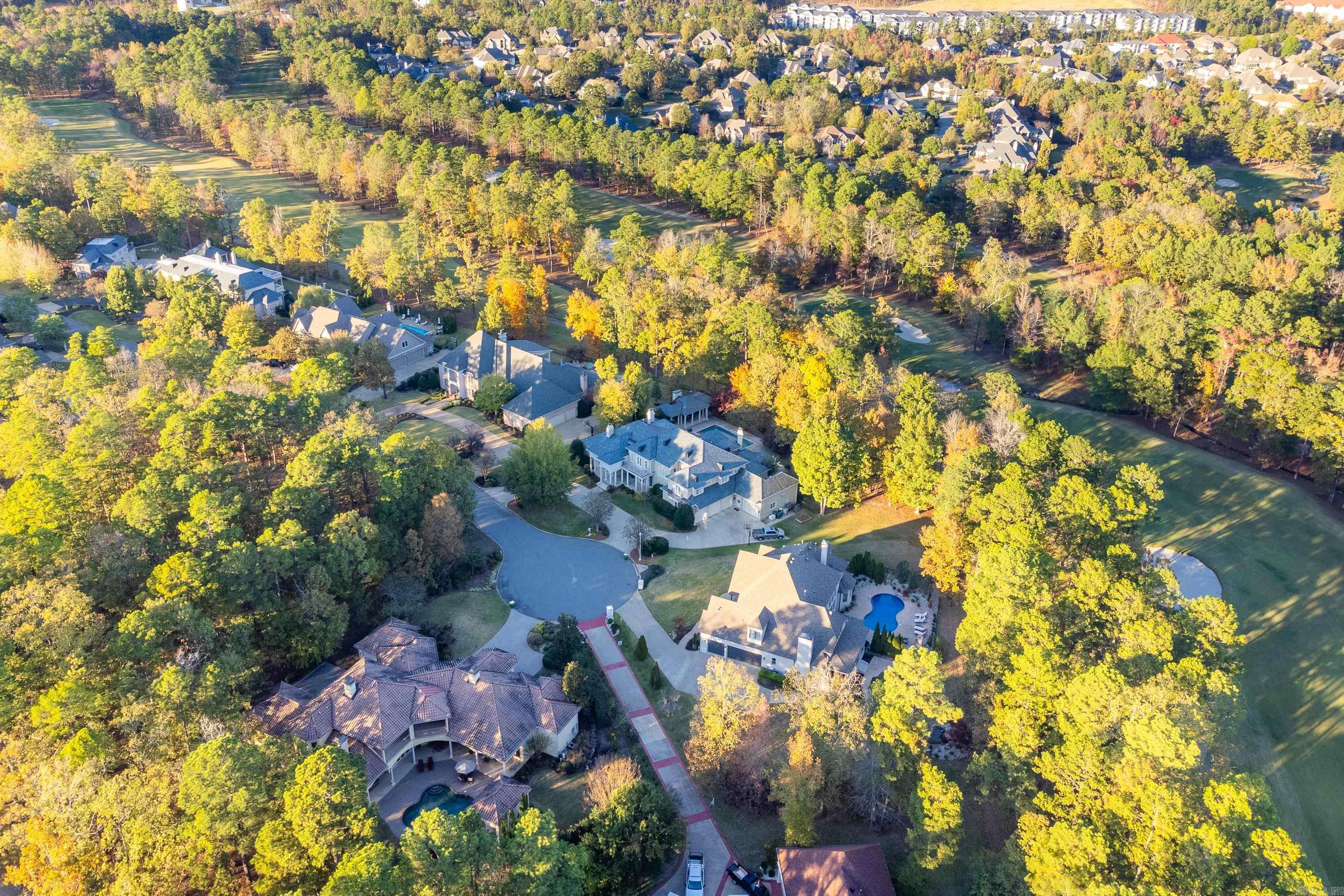 35  Sologne  Little Rock, AR