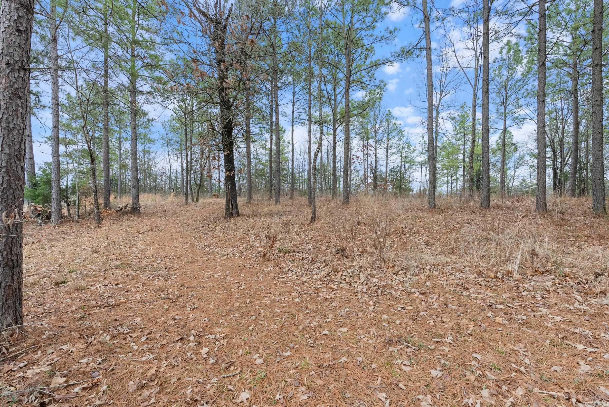 00  Panther Run Trail  Greenbrier, AR