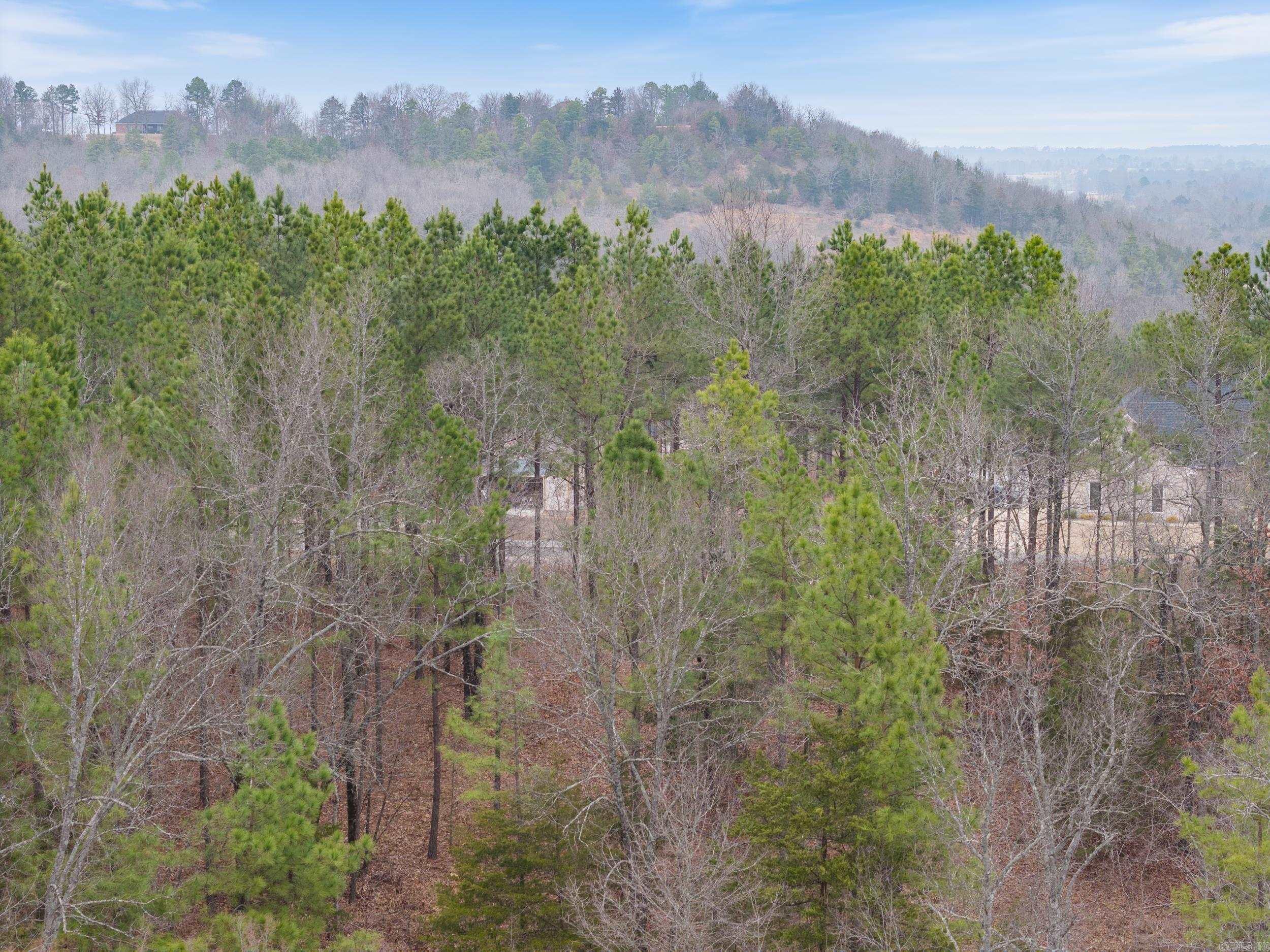 00  Panther Run Trail  Greenbrier, AR