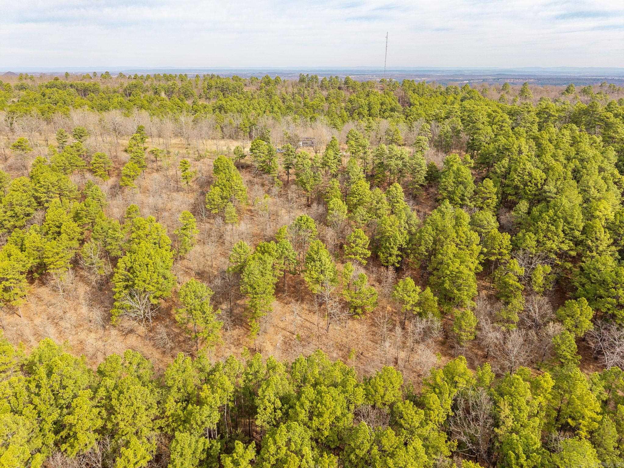 738  Whippoorwill  Booneville, AR