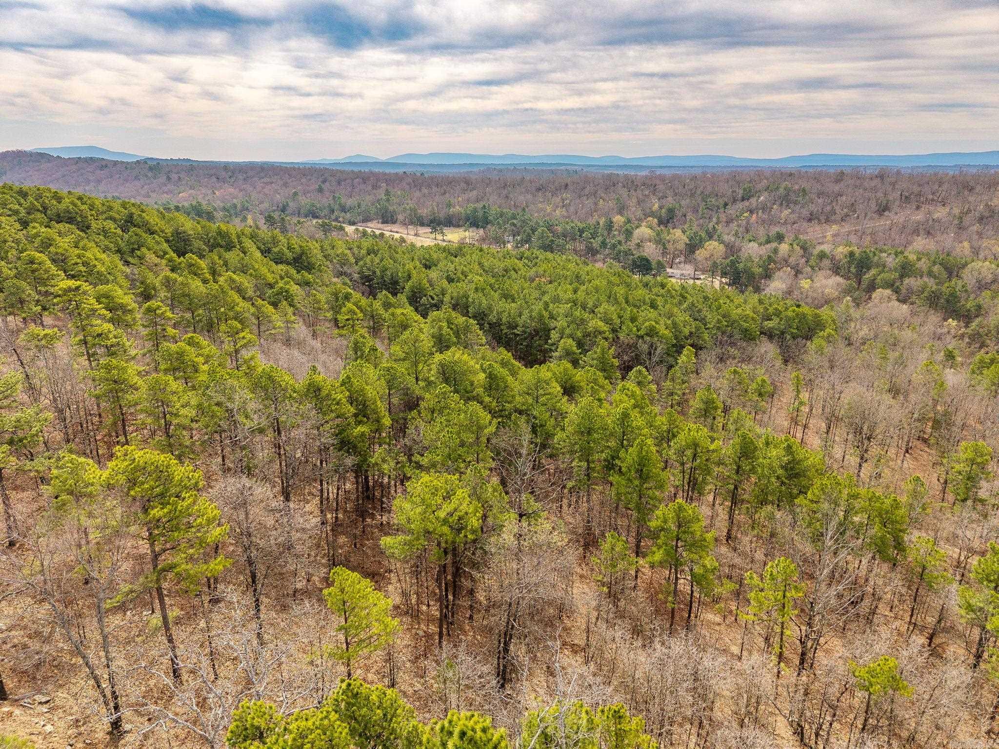 738  Whippoorwill  Booneville, AR