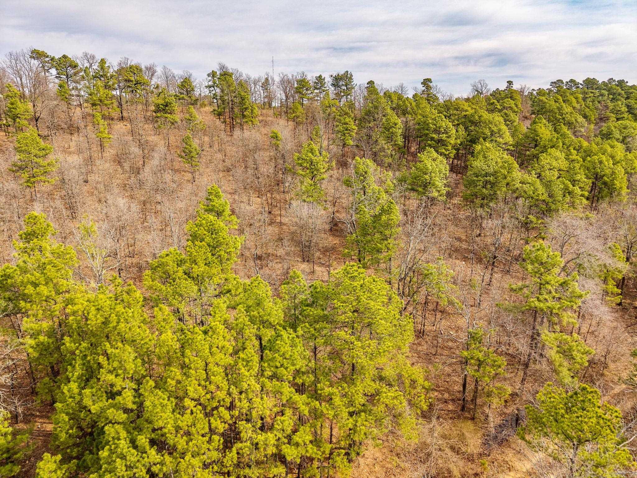 738  Whippoorwill  Booneville, AR