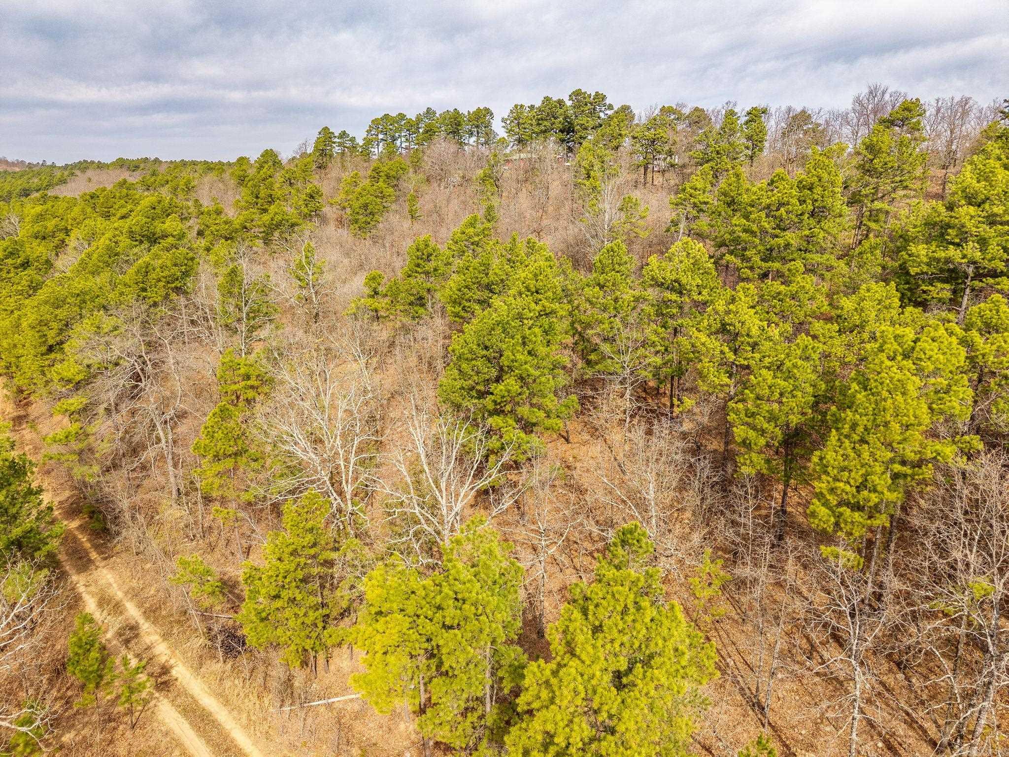 738  Whippoorwill  Booneville, AR