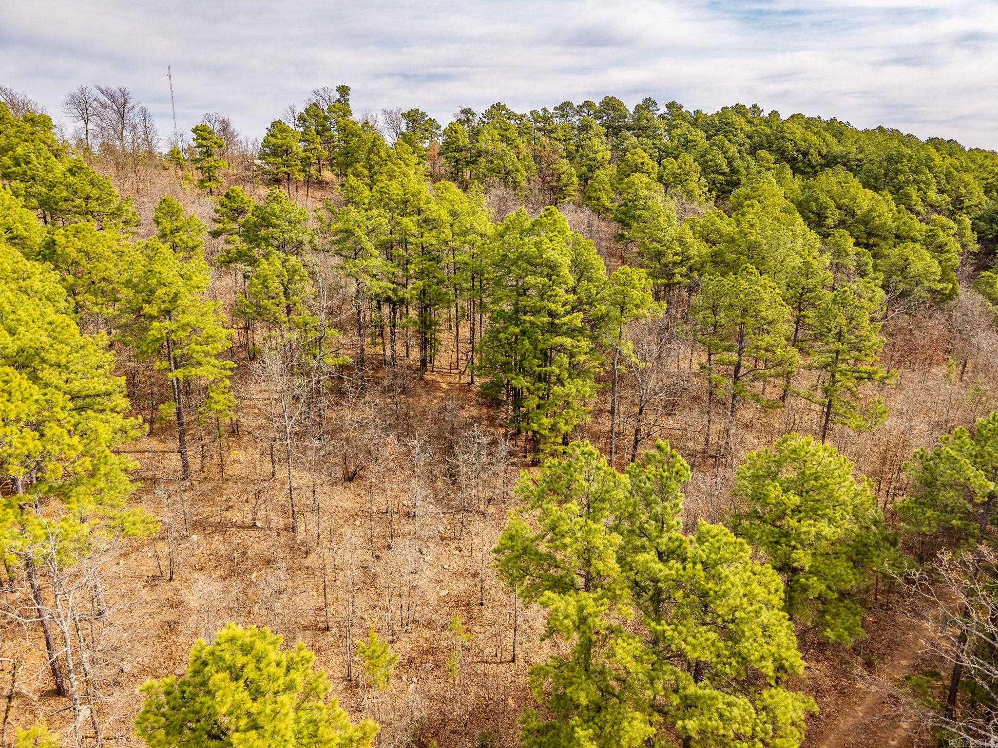 738  Whippoorwill  Booneville, AR