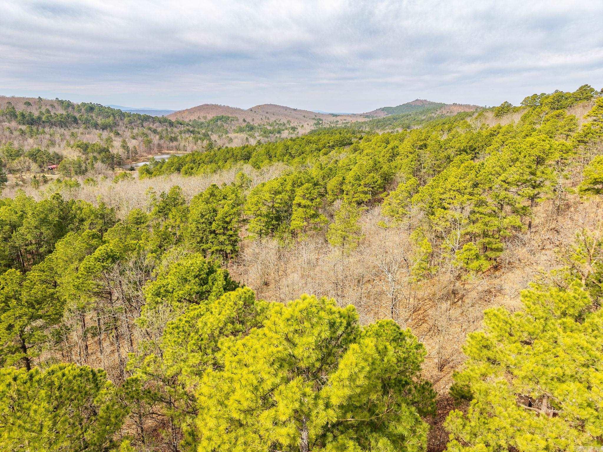 738  Whippoorwill  Booneville, AR