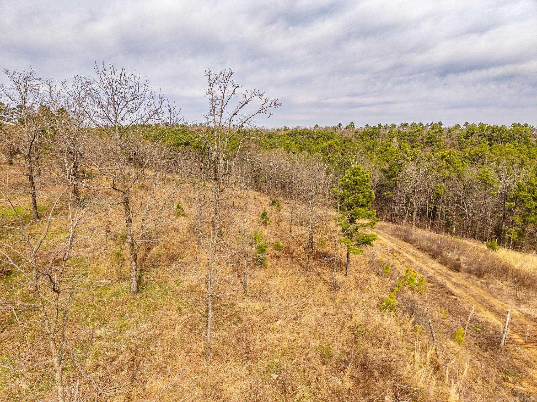 738  Whippoorwill  Booneville, AR