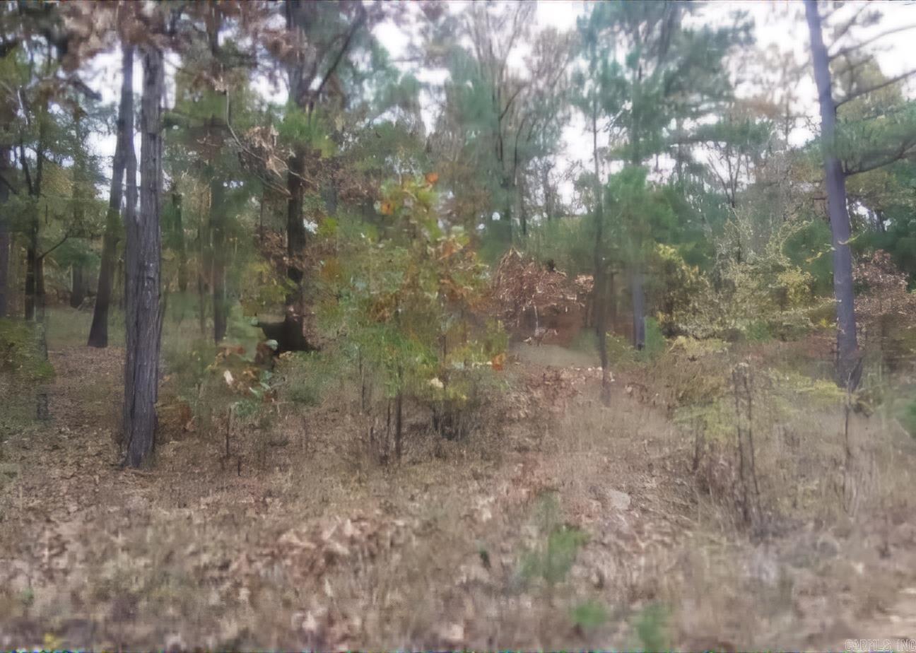 738  Whippoorwill  Booneville, AR