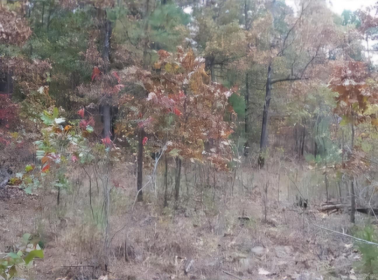 738  Whippoorwill  Booneville, AR