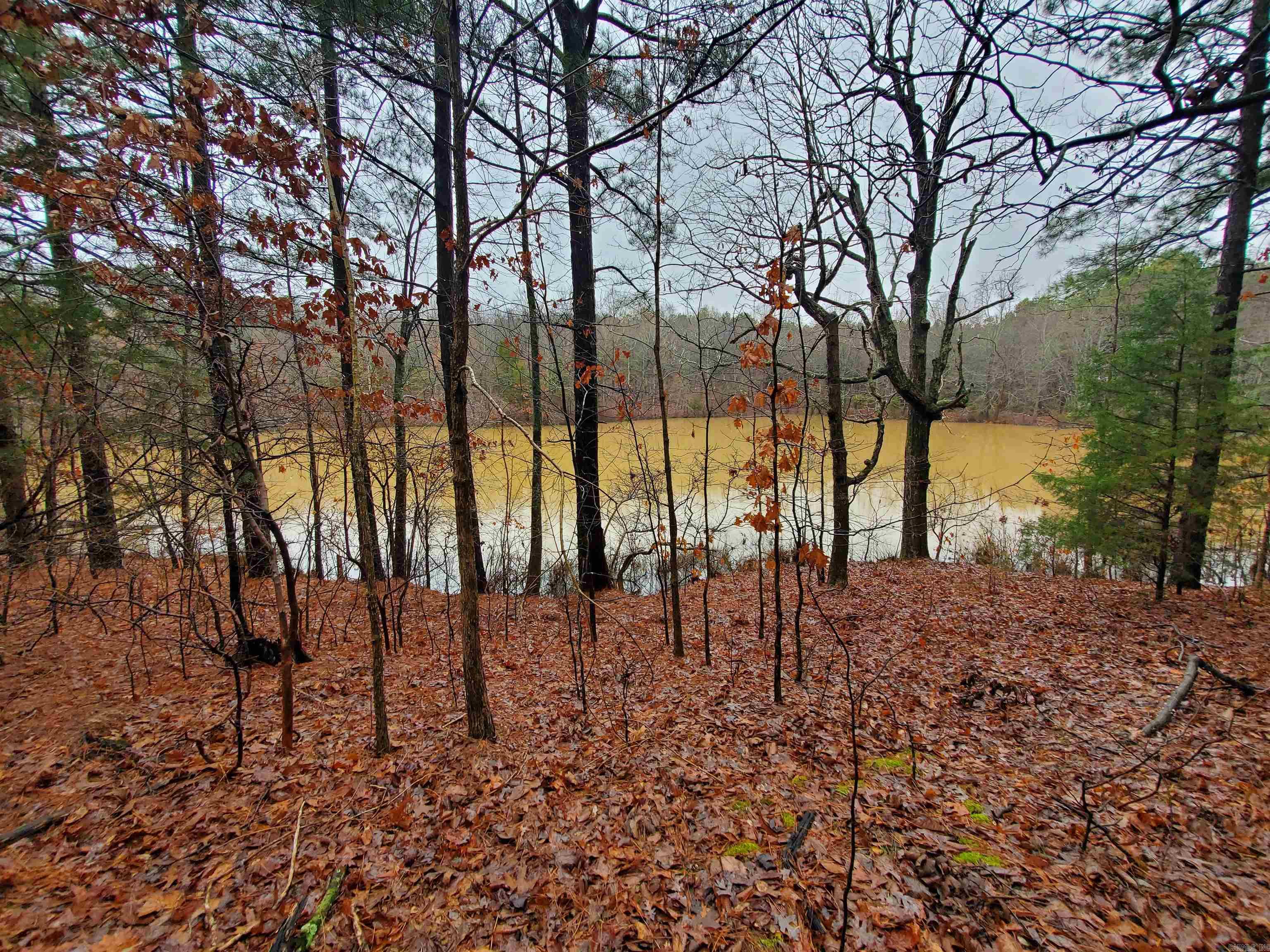   Cr 331 Hwy 62  Pollard, AR