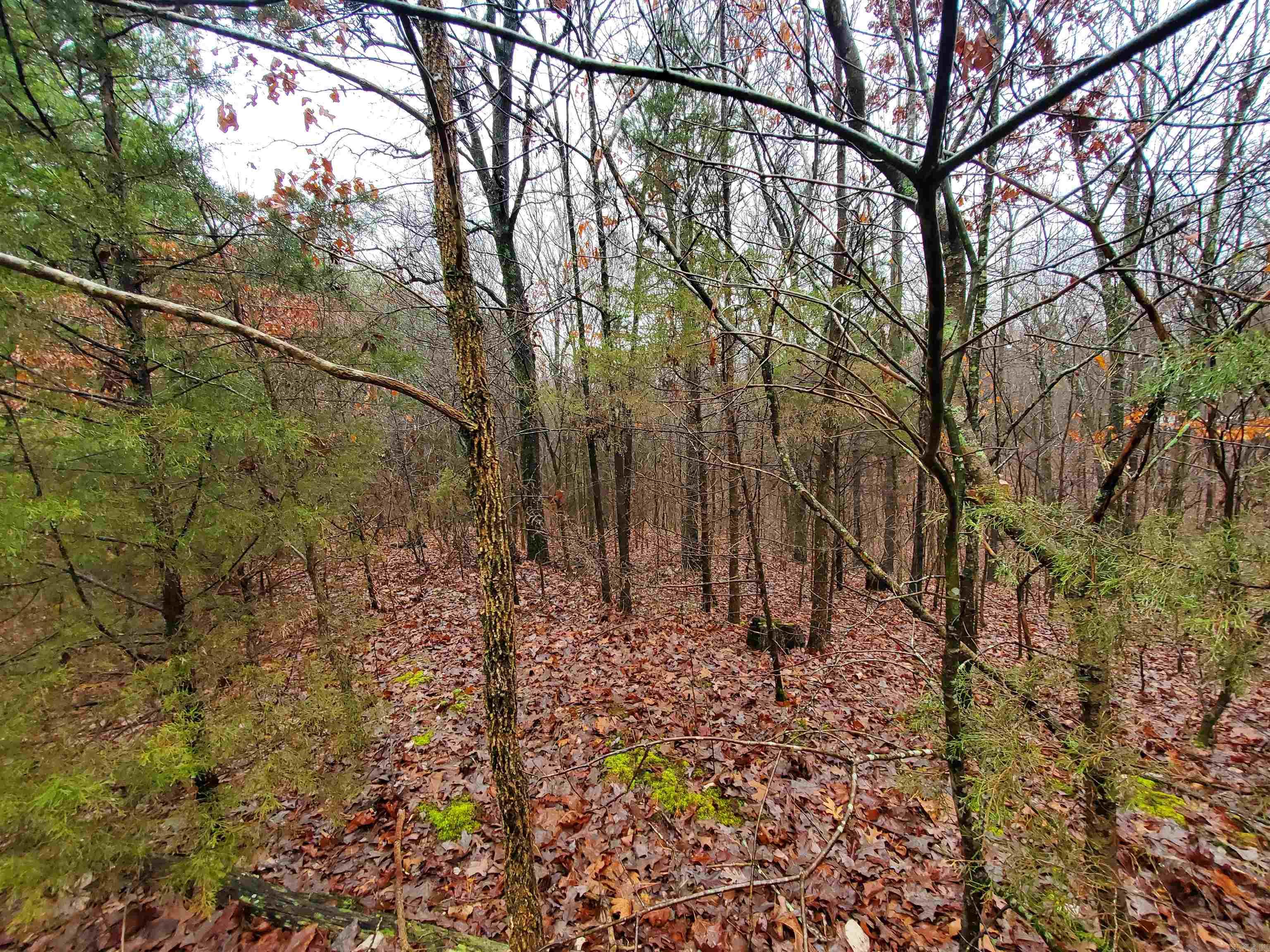  Cr 331 Hwy 62  Pollard, AR