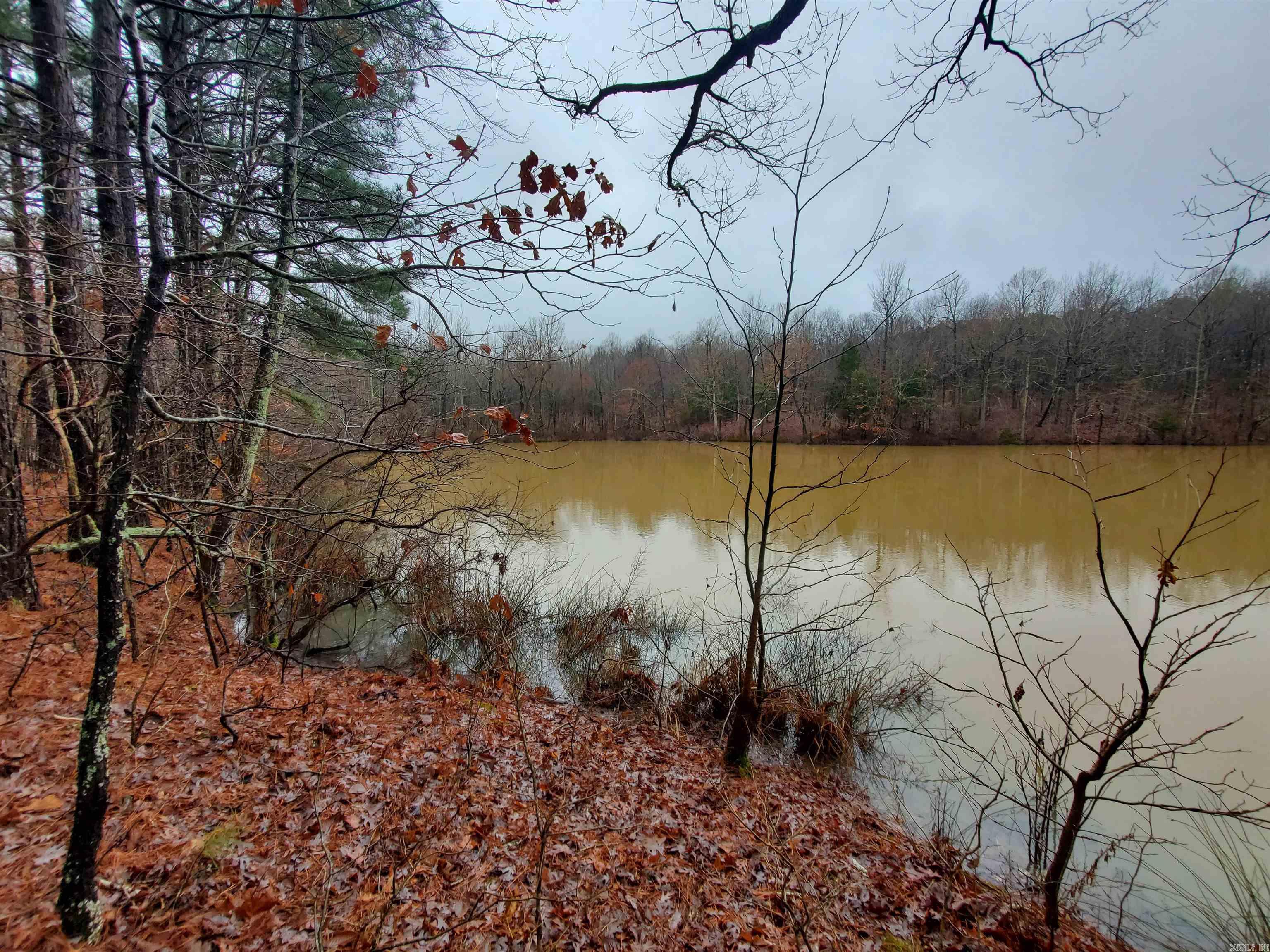   Cr 331 Hwy 62  Pollard, AR