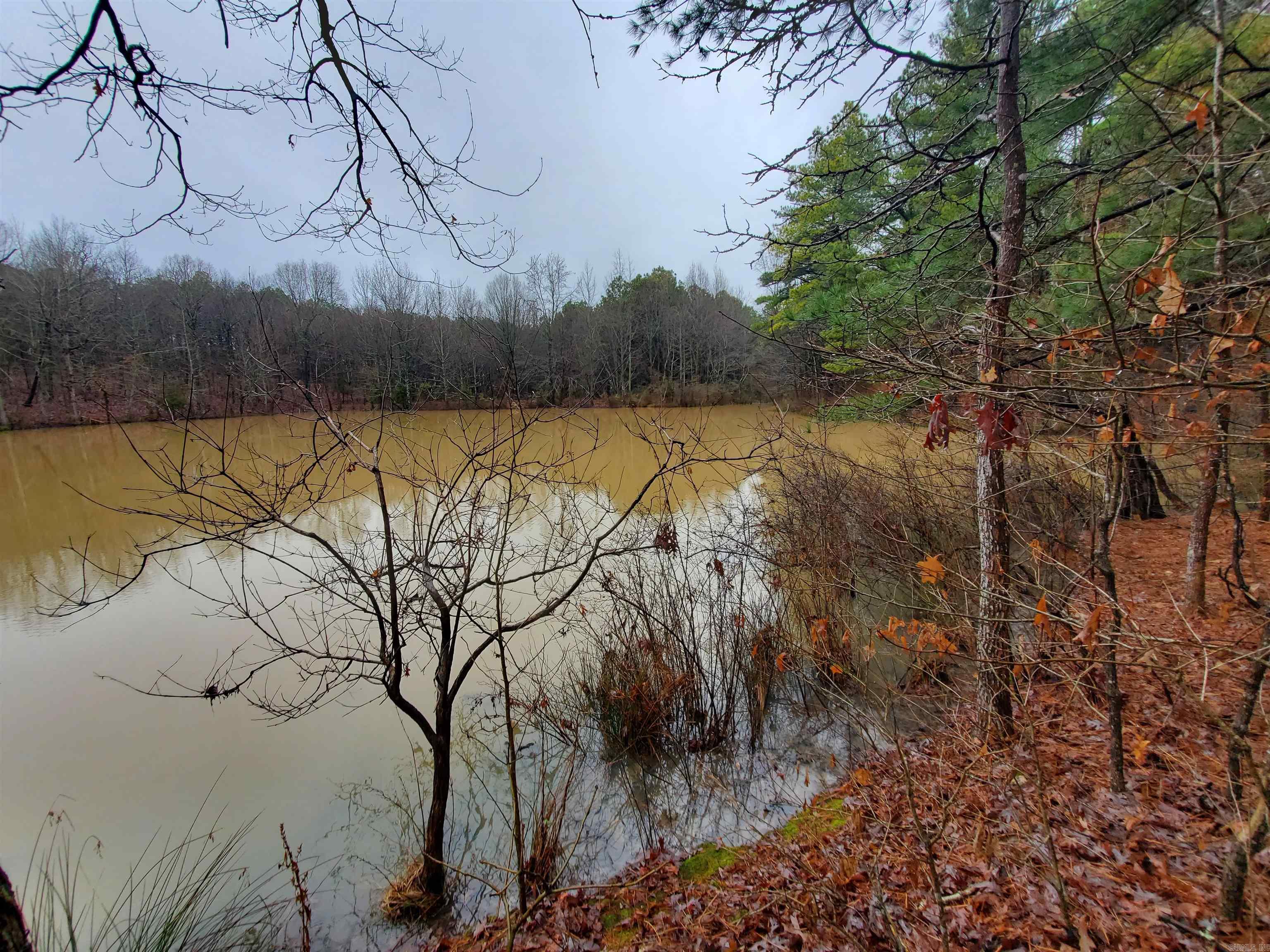   Cr 331 Hwy 62  Pollard, AR