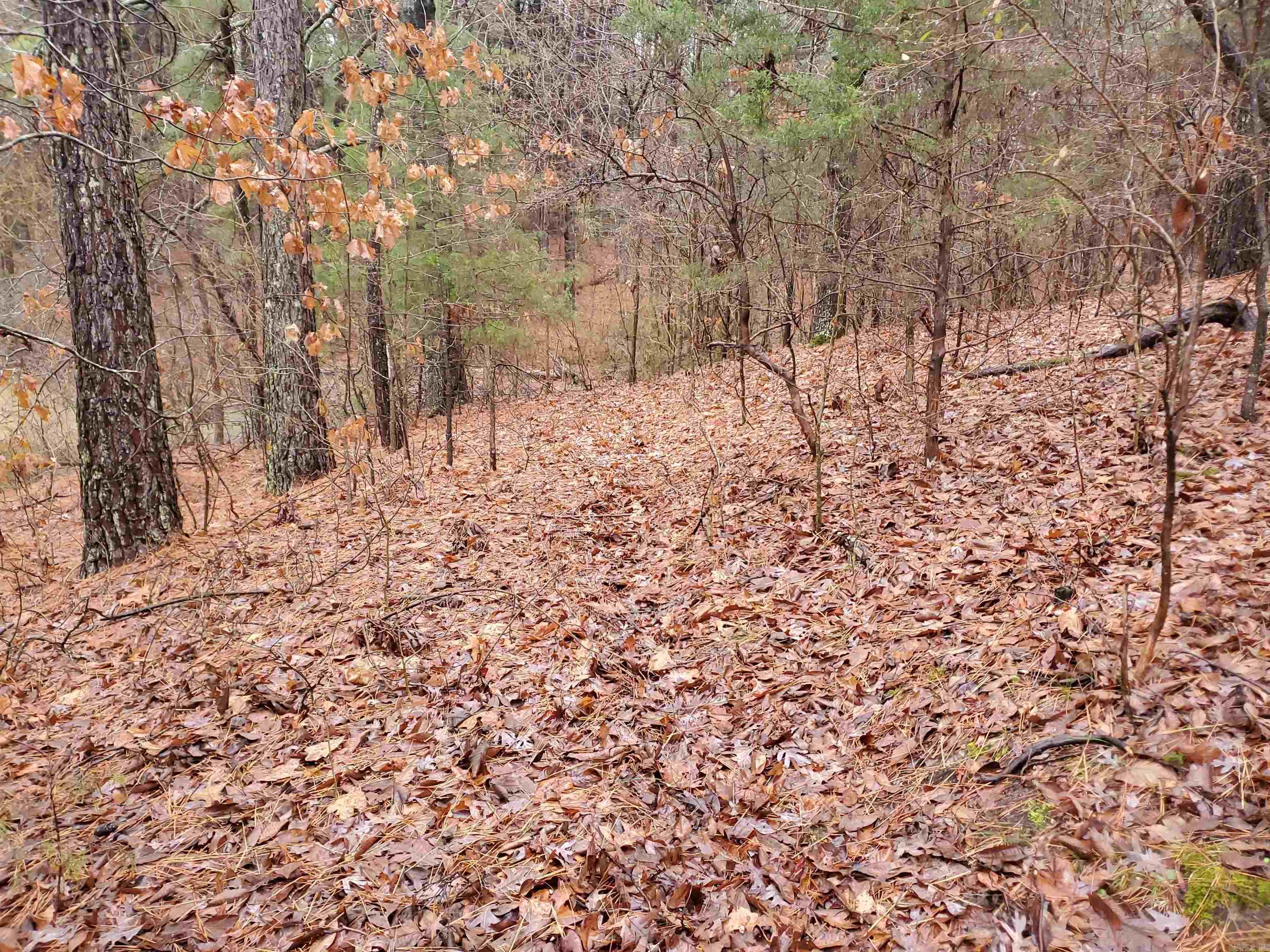  Cr 331 Hwy 62  Pollard, AR