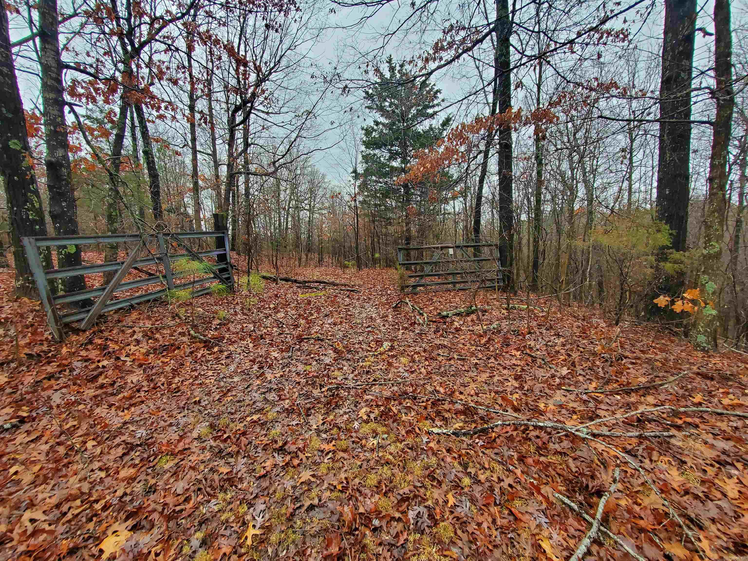   Cr 331 Hwy 62  Pollard, AR
