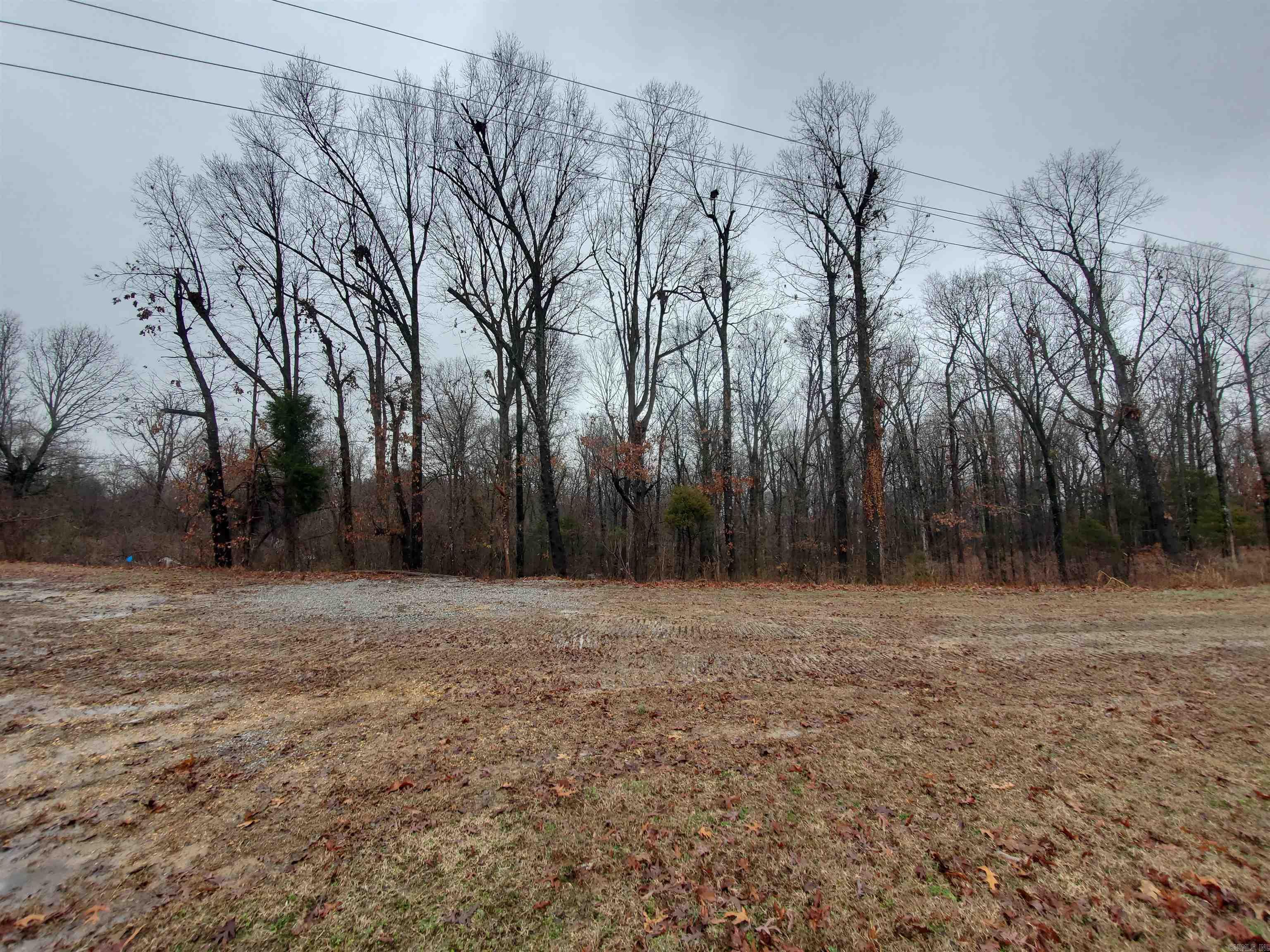   Cr 331 Hwy 62  Pollard, AR