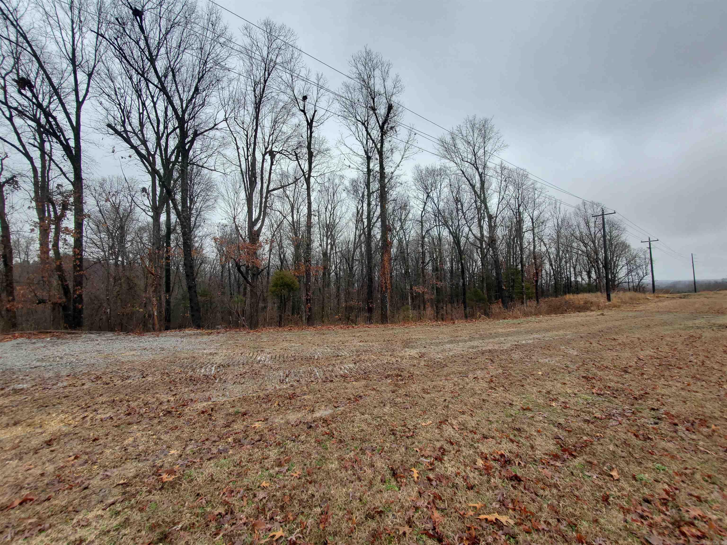   Cr 331 Hwy 62  Pollard, AR