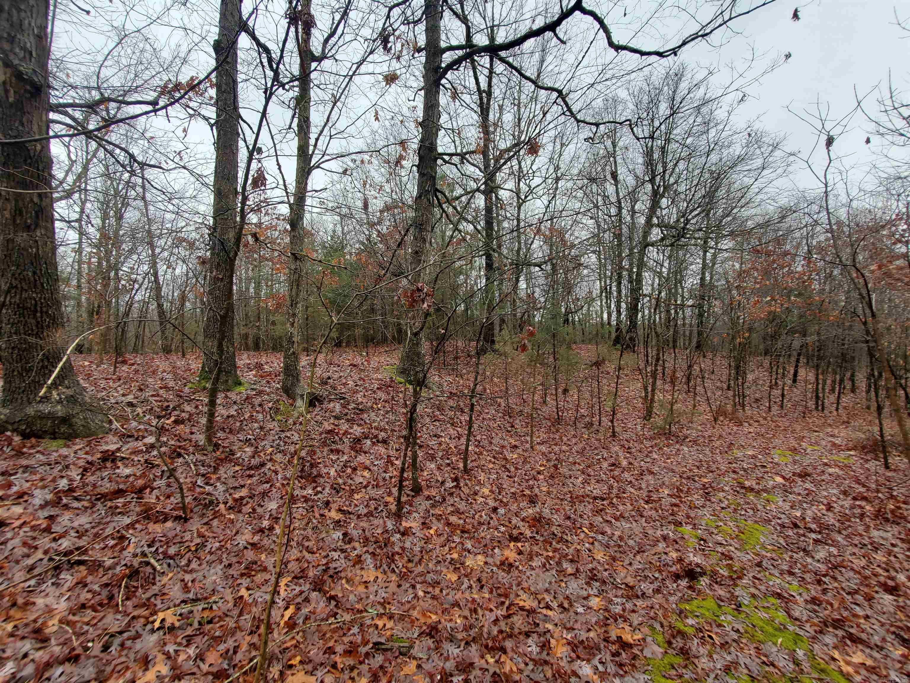   Cr 331 Hwy 62  Pollard, AR