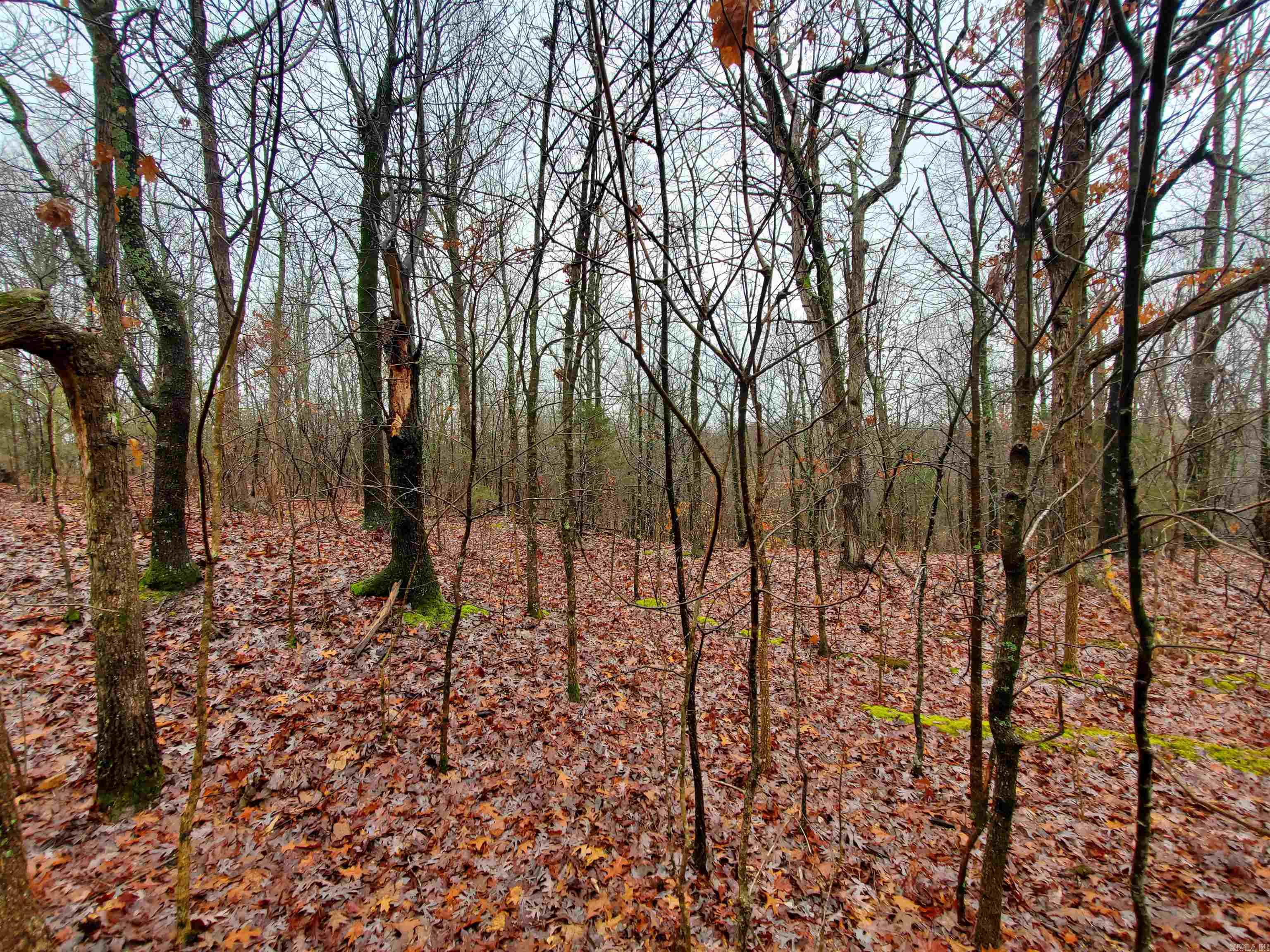   Cr 331 Hwy 62  Pollard, AR