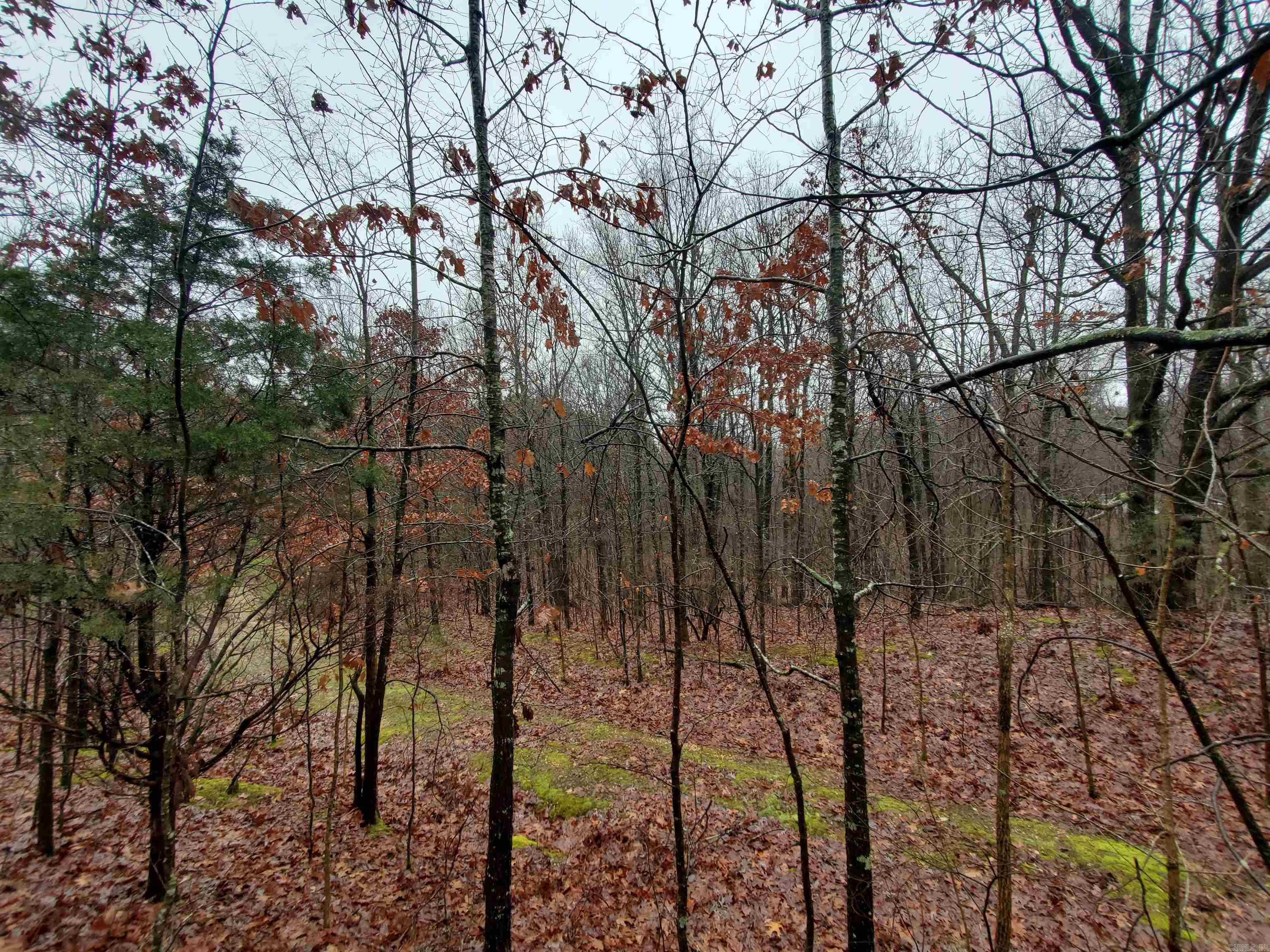   Cr 331 Hwy 62  Pollard, AR