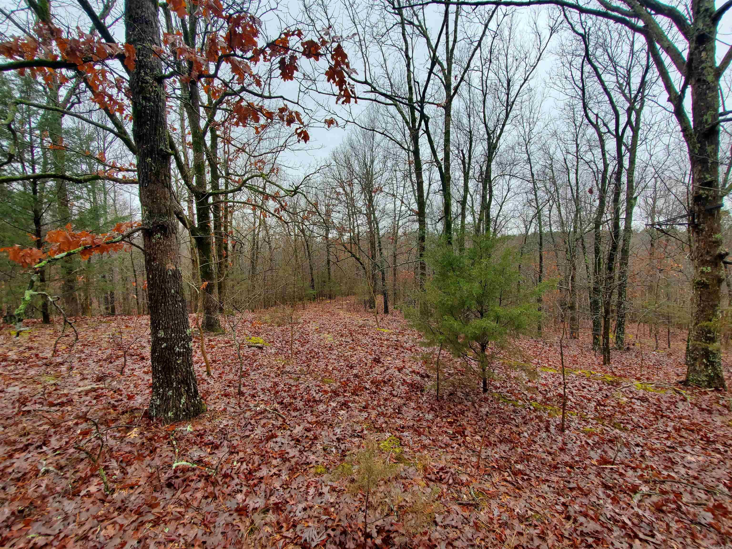   Cr 331 Hwy 62  Pollard, AR