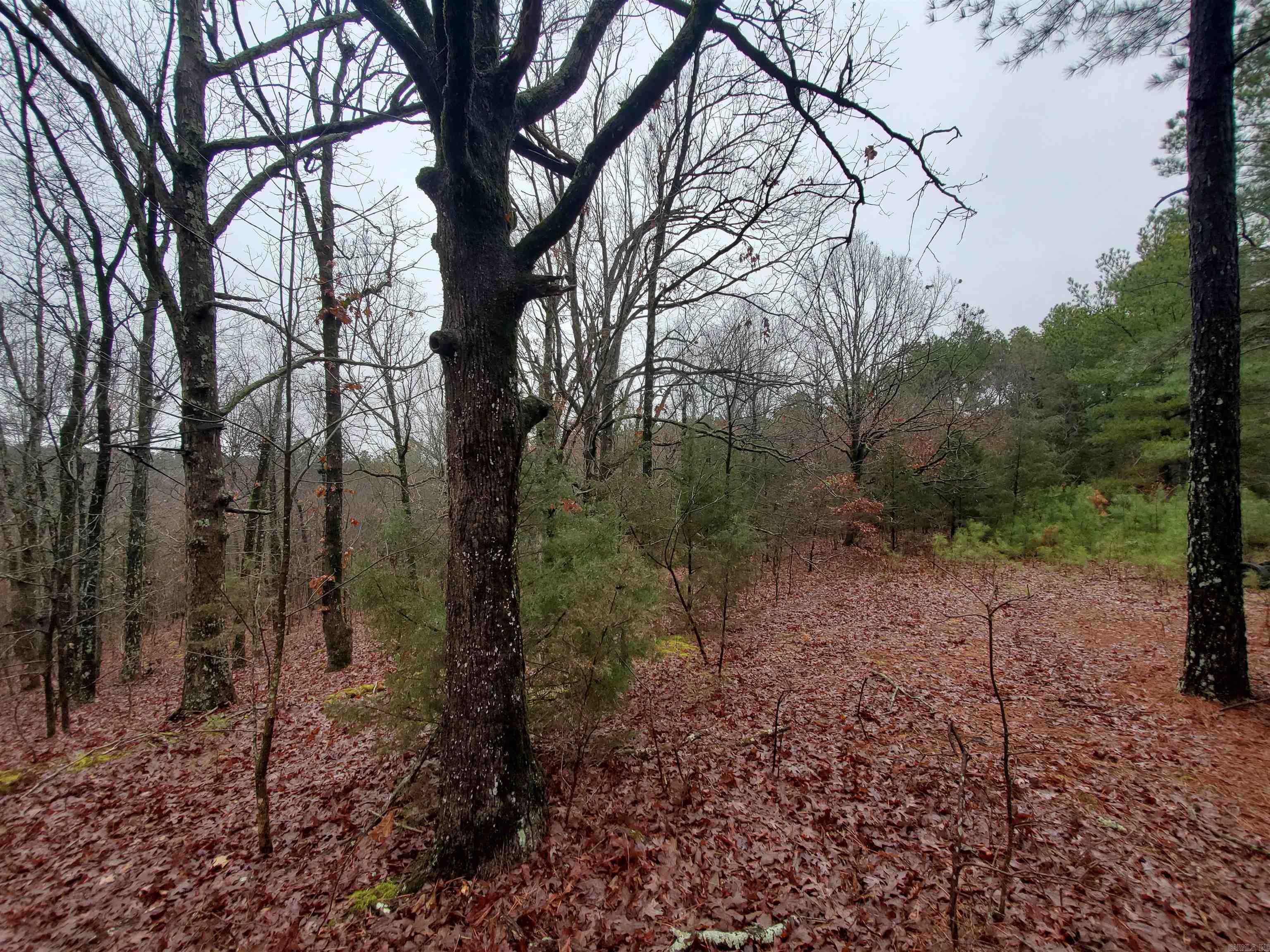   Cr 331 Hwy 62  Pollard, AR