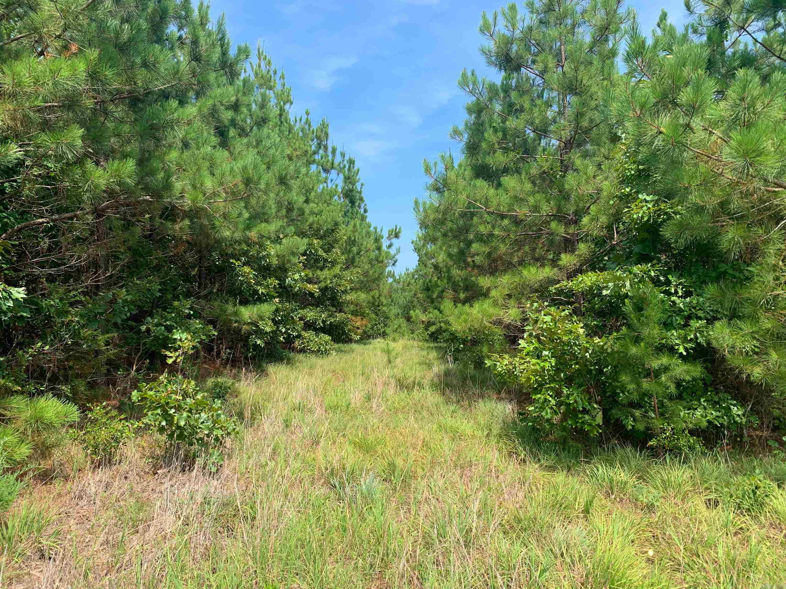 1079 W Crossroads  Quitman, AR