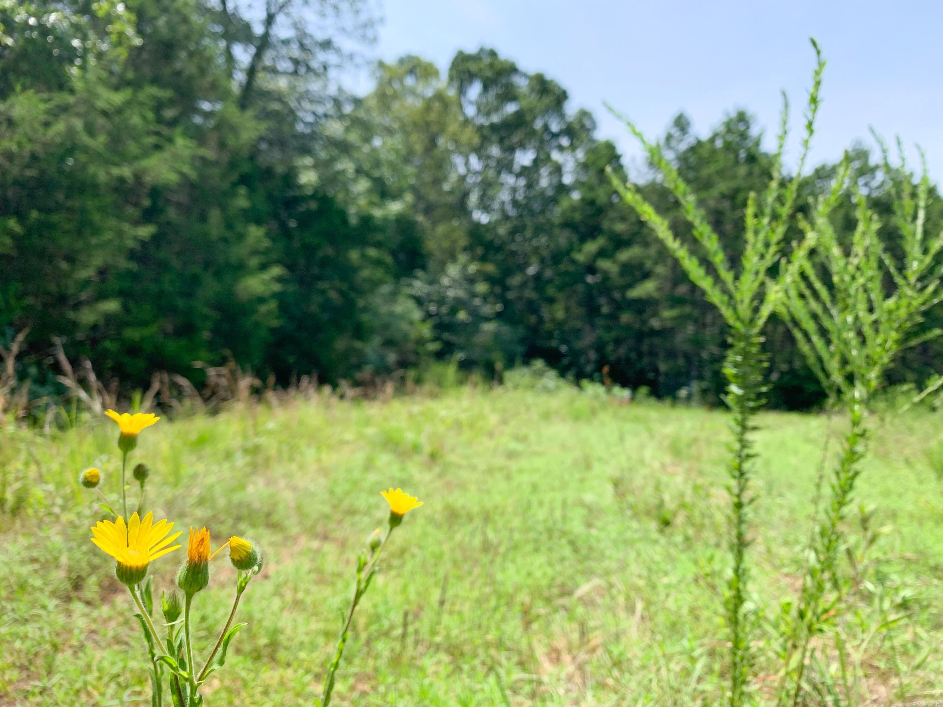 1079 W Crossroads  Quitman, AR