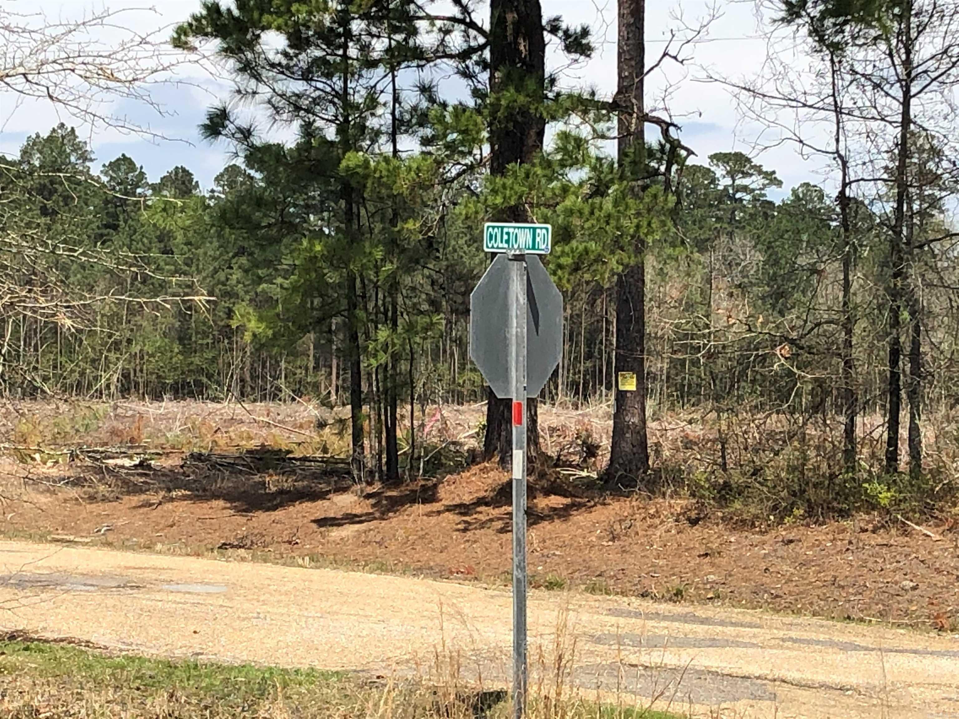 1  Coletown Rd  El Dorado, AR