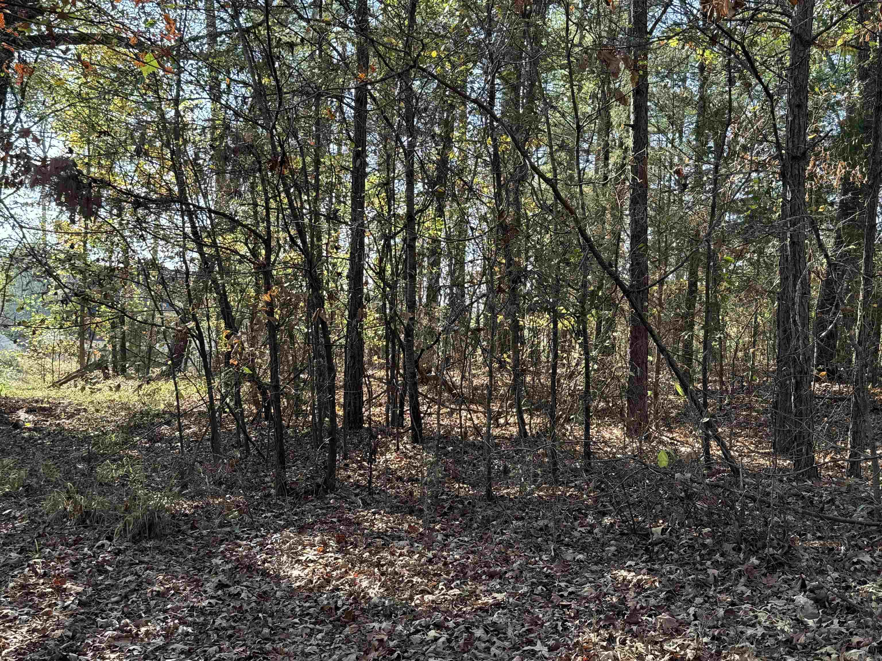 3.6 Acres  MCGEE ROAD  Benton, AR