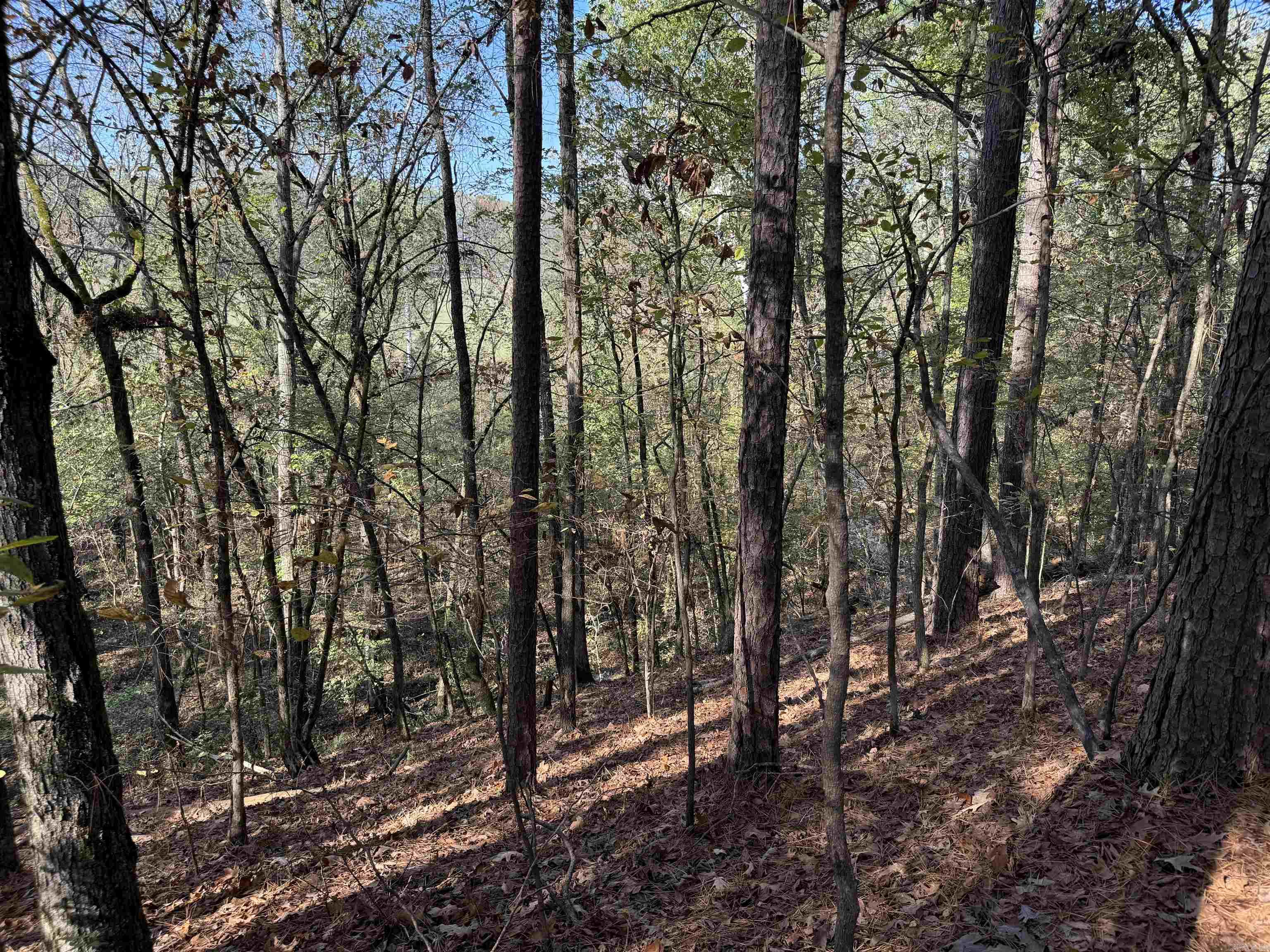 3.6 Acres  MCGEE ROAD  Benton, AR