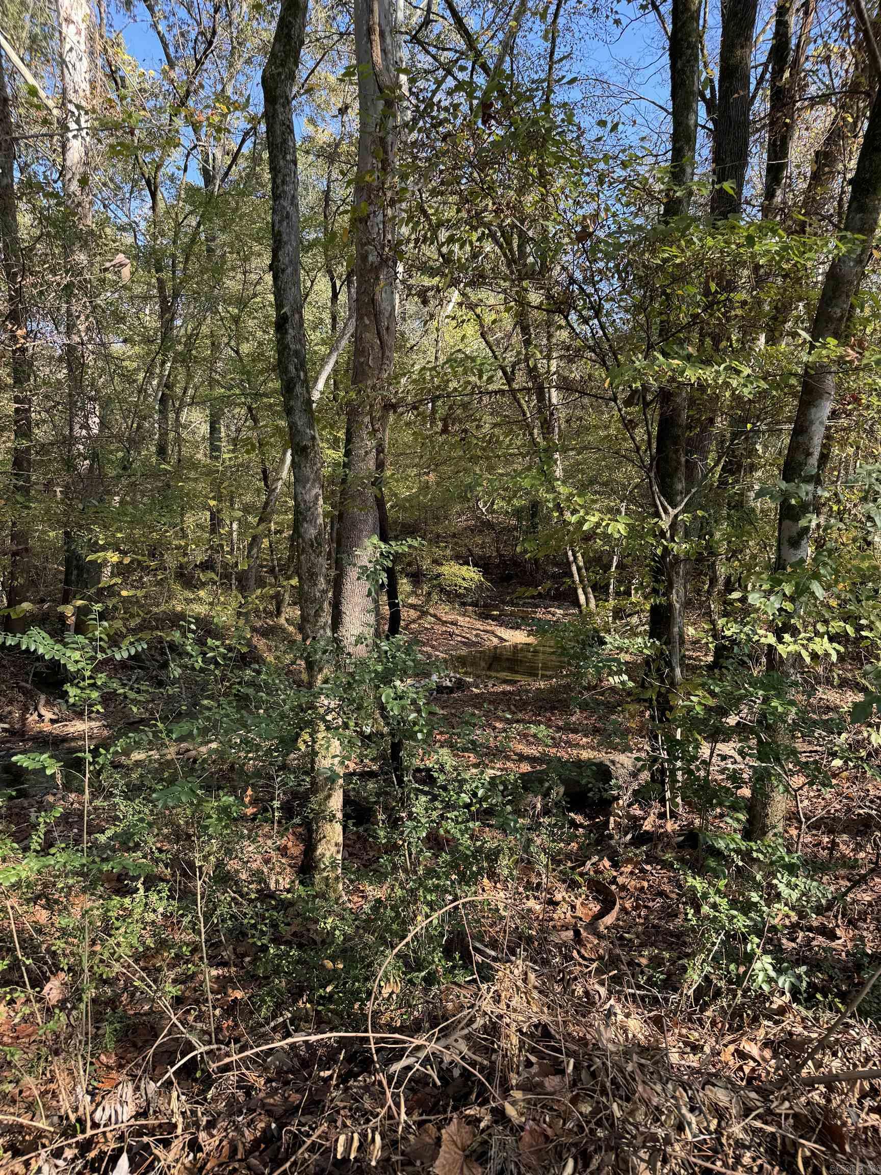 3.6 Acres  MCGEE ROAD  Benton, AR