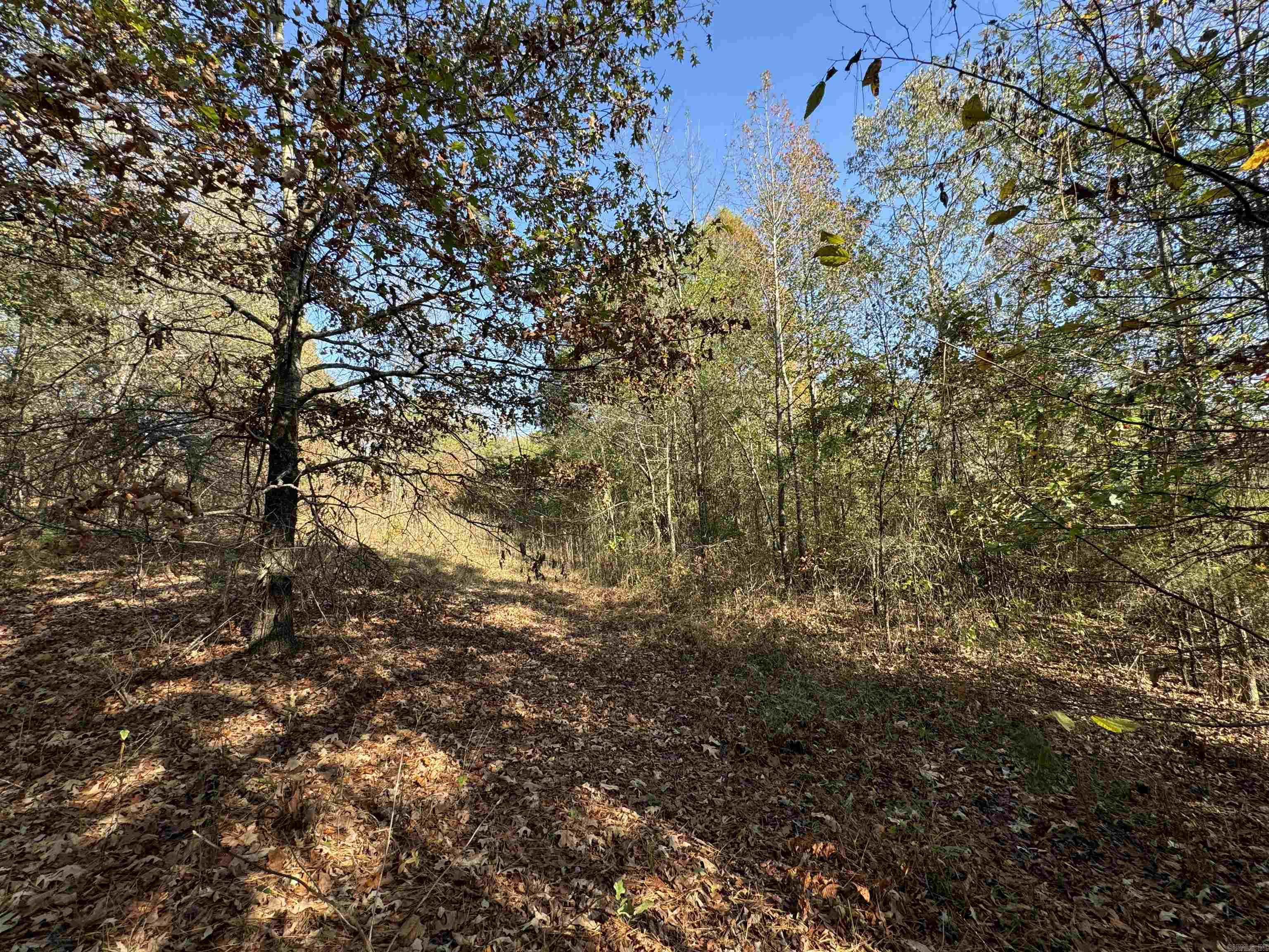3.6 Acres  MCGEE ROAD  Benton, AR