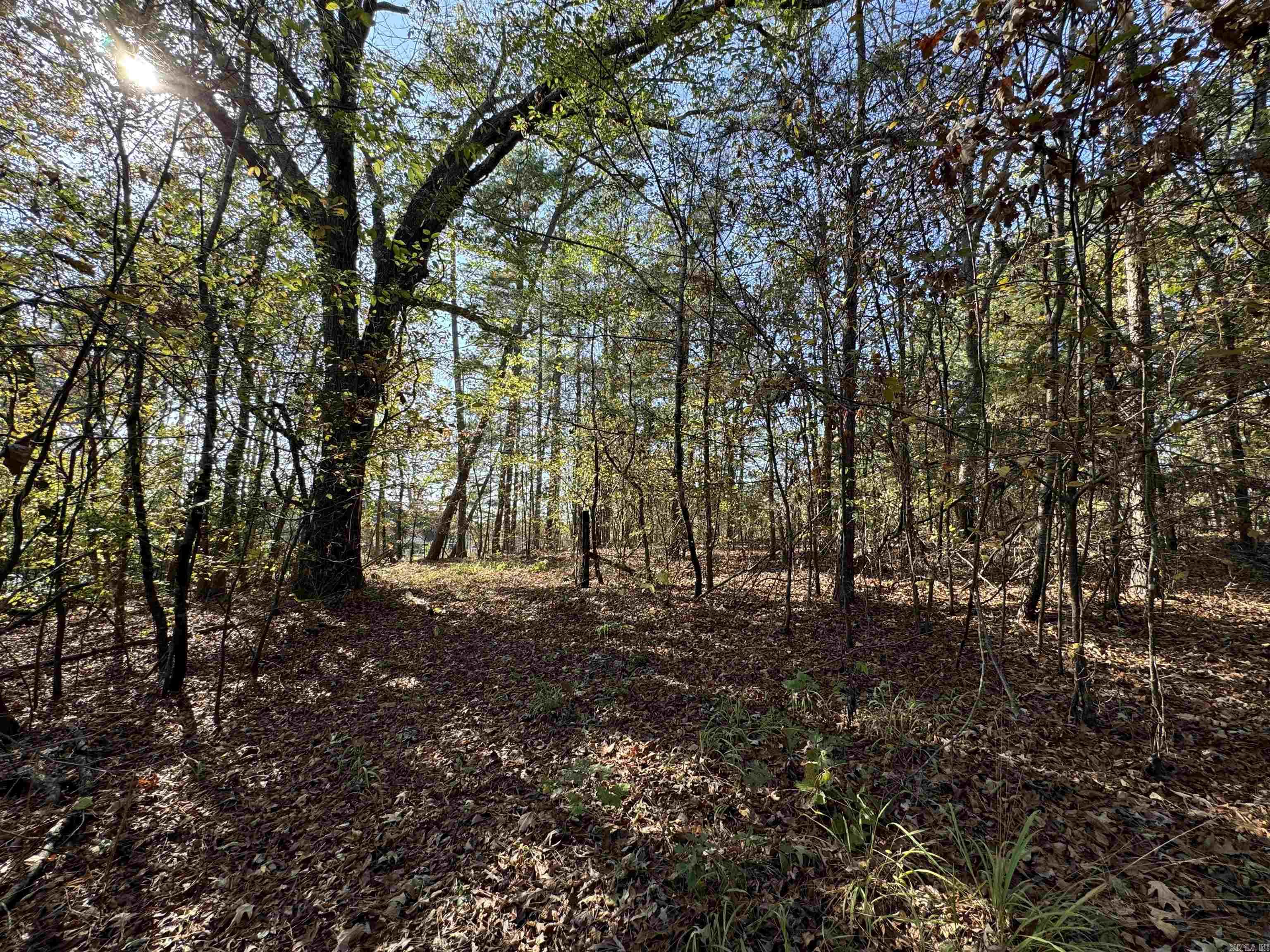 3.6 Acres  MCGEE ROAD  Benton, AR
