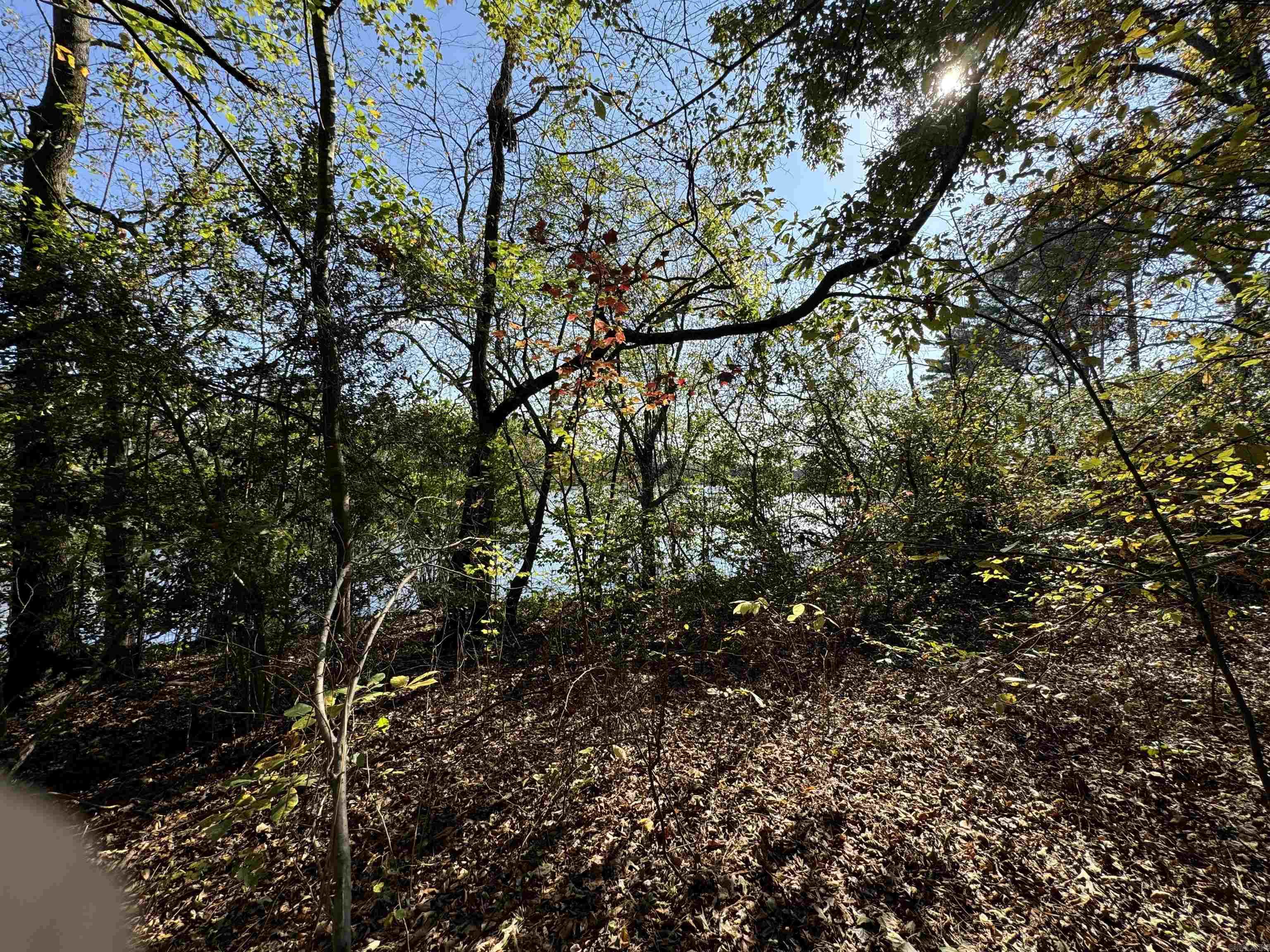 3.6 Acres  MCGEE ROAD  Benton, AR