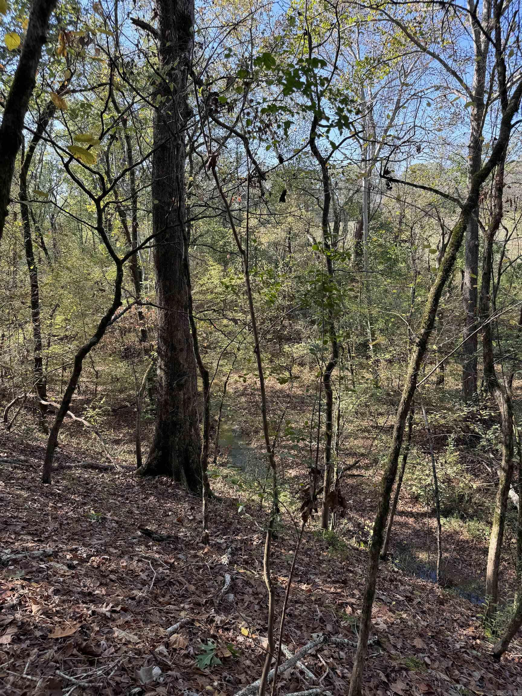 3.6 Acres  MCGEE ROAD  Benton, AR