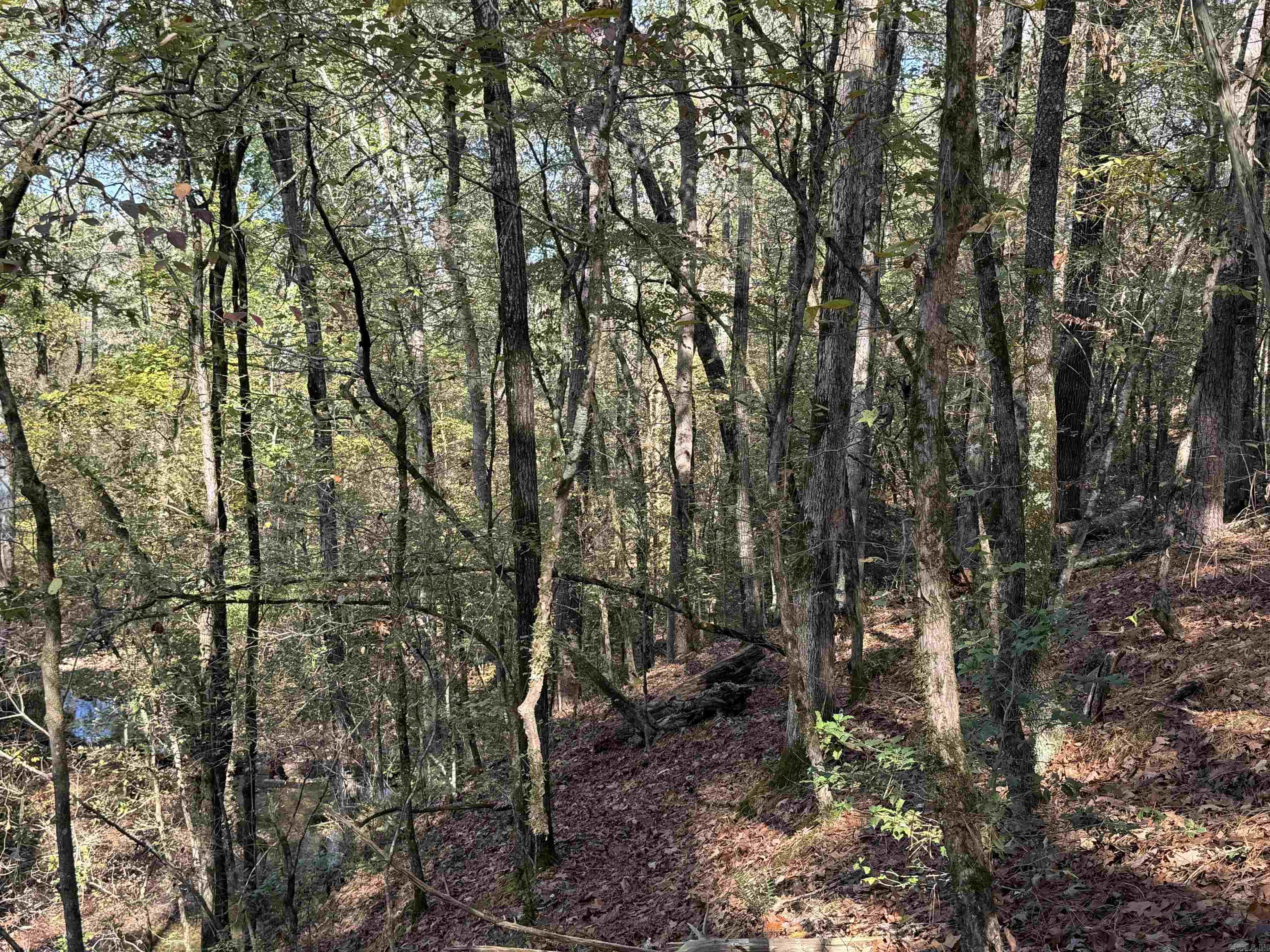 3.6 Acres  MCGEE ROAD  Benton, AR