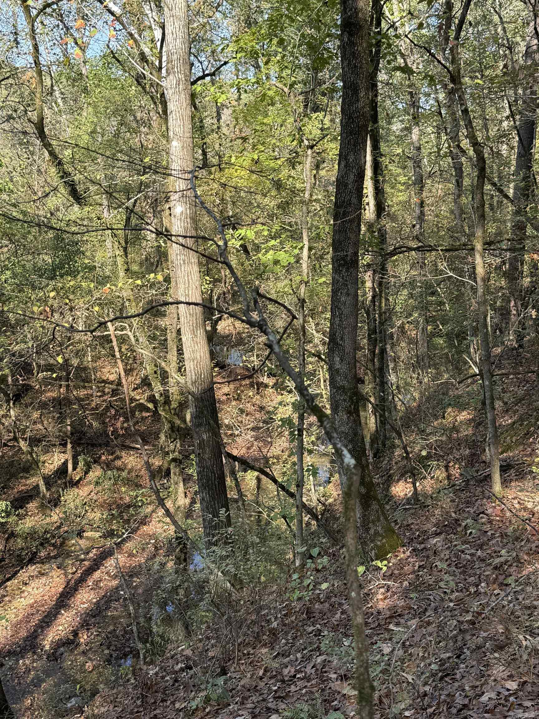3.6 Acres  MCGEE ROAD  Benton, AR
